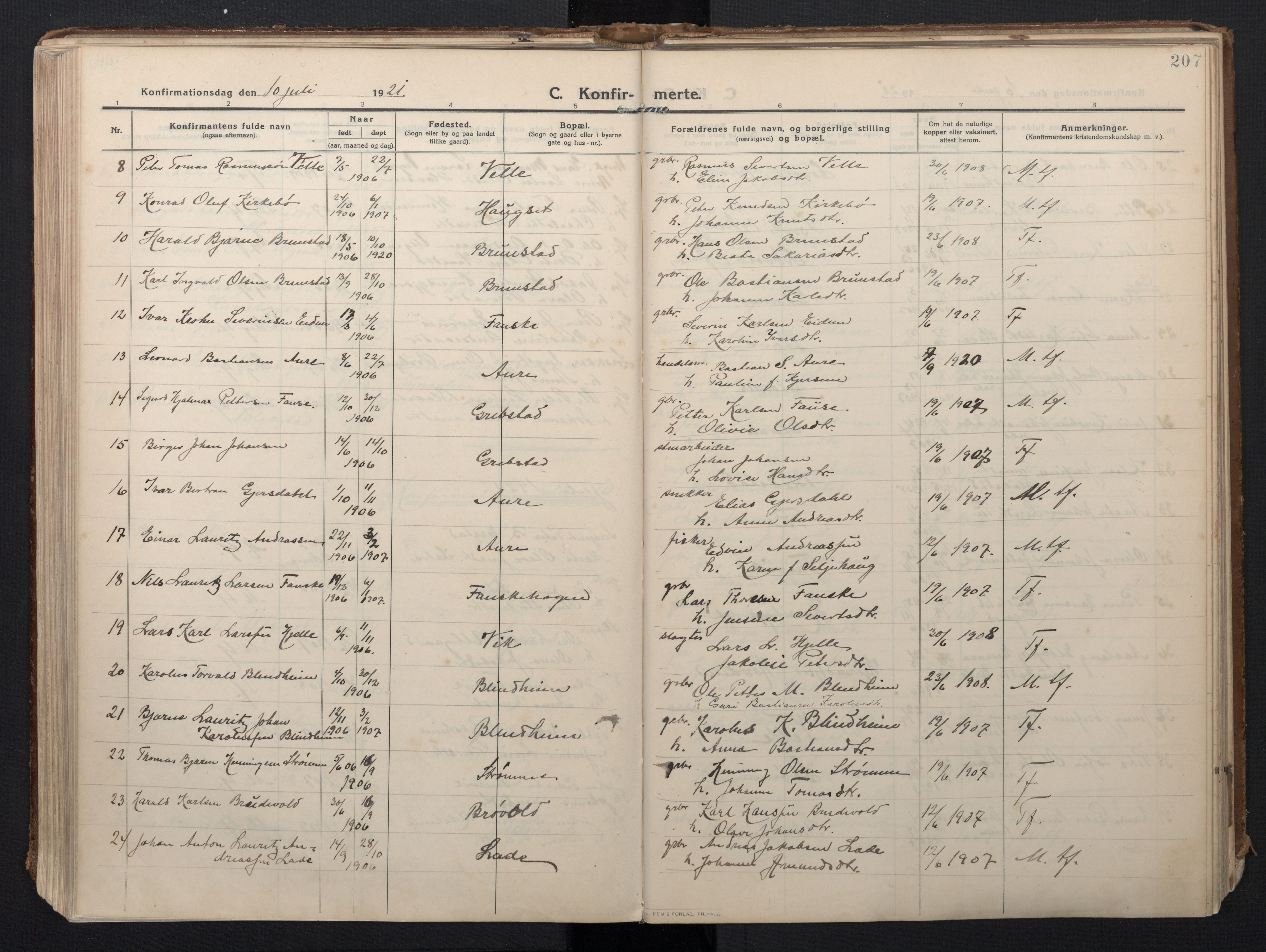 Ministerialprotokoller, klokkerbøker og fødselsregistre - Møre og Romsdal, AV/SAT-A-1454/523/L0337: Parish register (official) no. 523A04, 1911-1929, p. 207