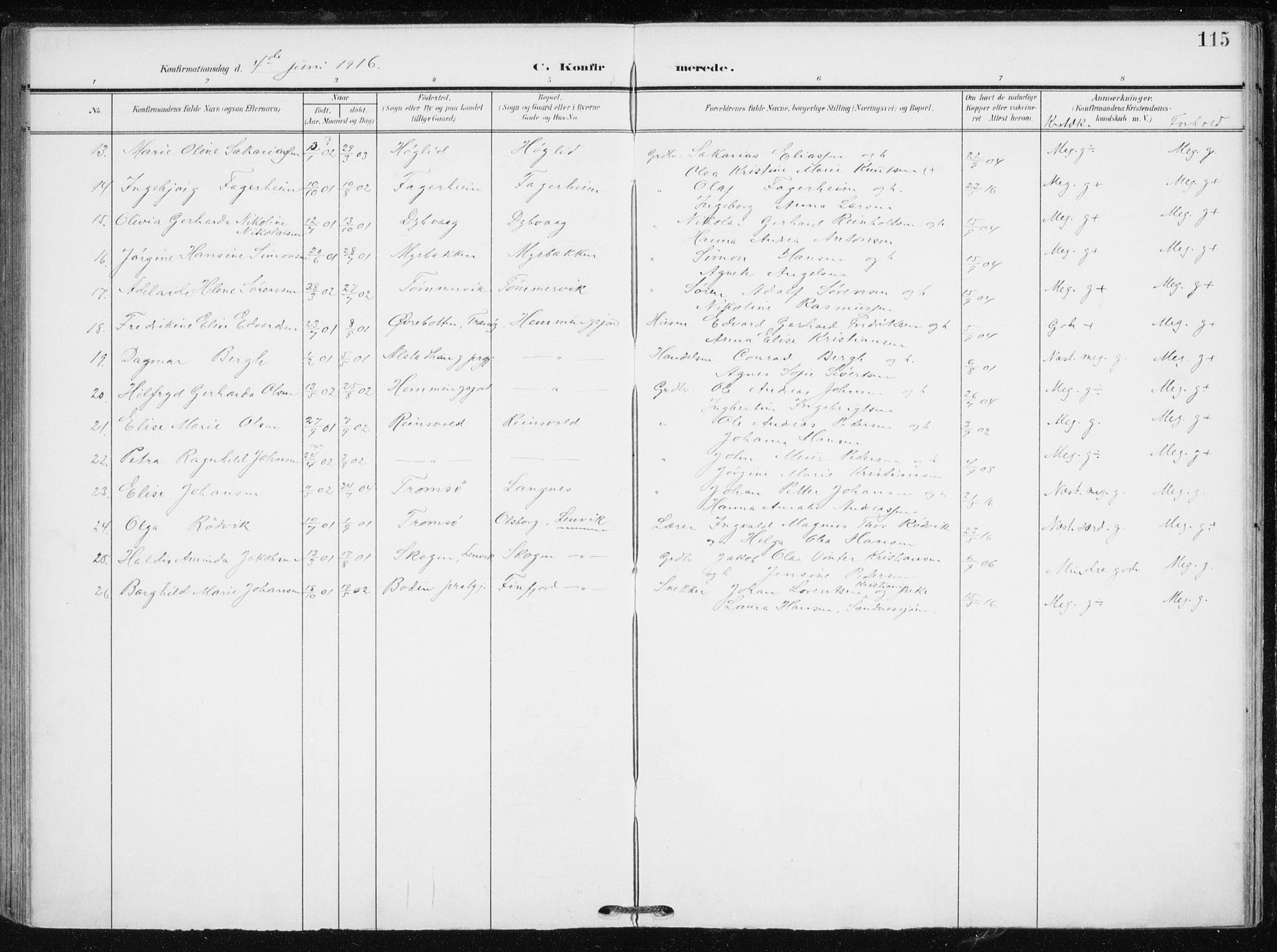 Tranøy sokneprestkontor, SATØ/S-1313/I/Ia/Iaa/L0012kirke: Parish register (official) no. 12, 1905-1918, p. 115