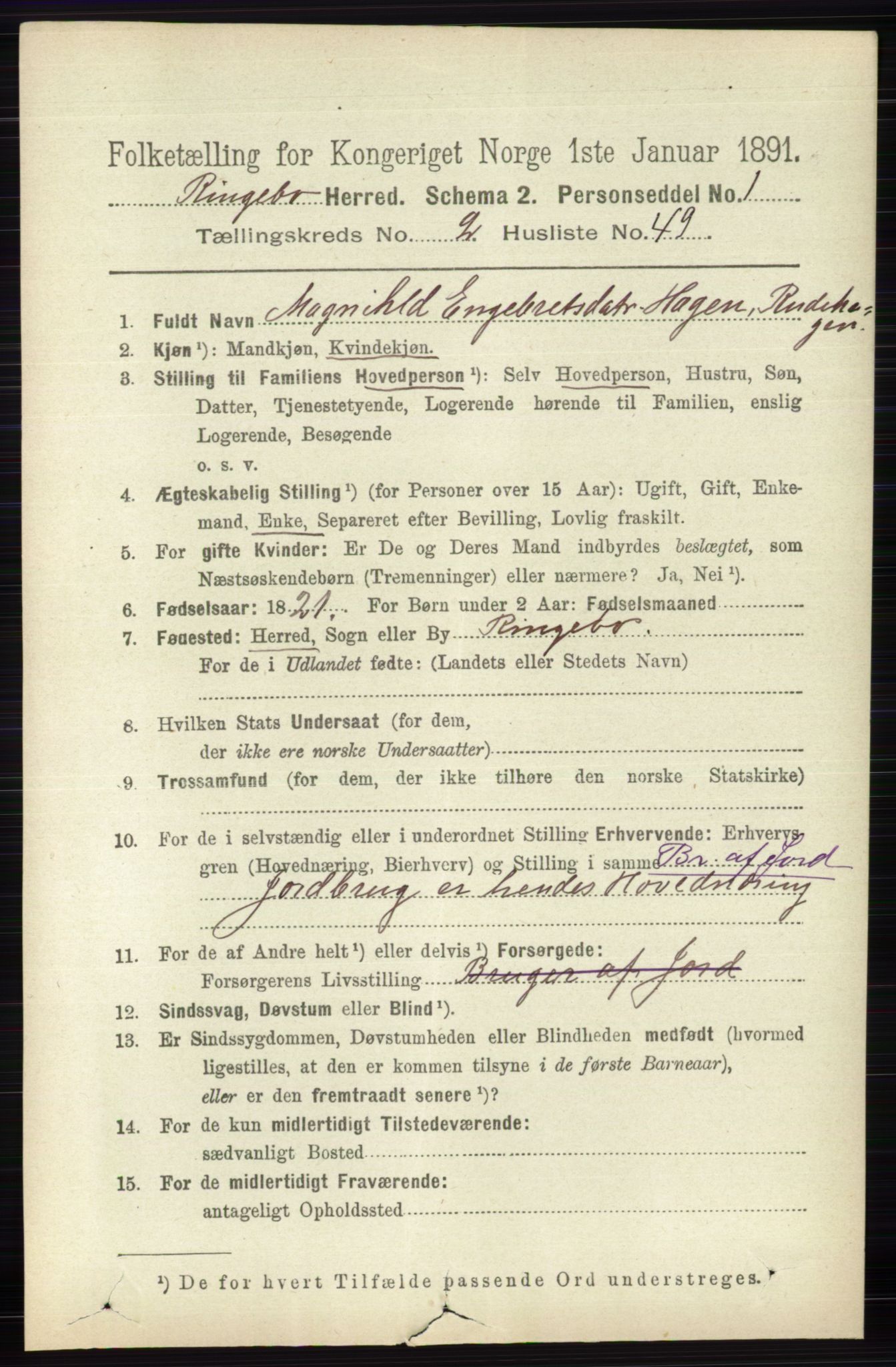 RA, 1891 census for 0520 Ringebu, 1891, p. 617