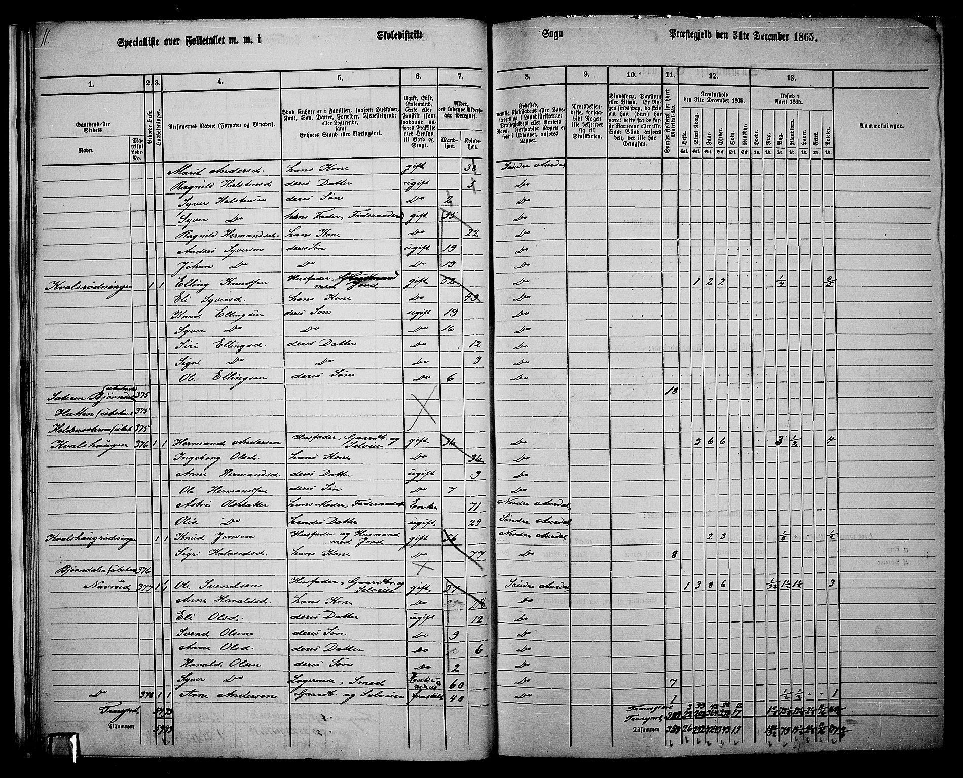 RA, 1865 census for Sør-Aurdal, 1865, p. 27