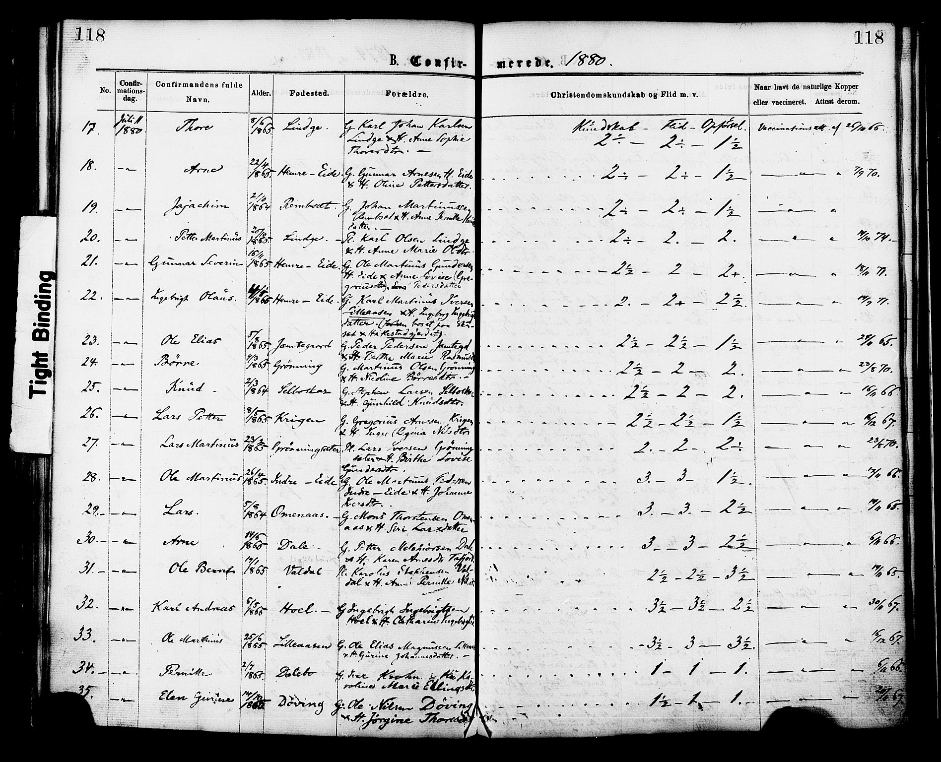 Ministerialprotokoller, klokkerbøker og fødselsregistre - Møre og Romsdal, AV/SAT-A-1454/519/L0254: Parish register (official) no. 519A13, 1868-1883, p. 118