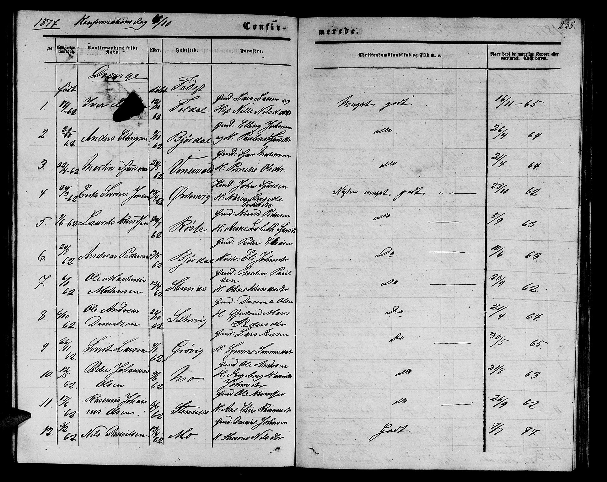 Ministerialprotokoller, klokkerbøker og fødselsregistre - Møre og Romsdal, AV/SAT-A-1454/513/L0188: Parish register (copy) no. 513C02, 1865-1882, p. 235