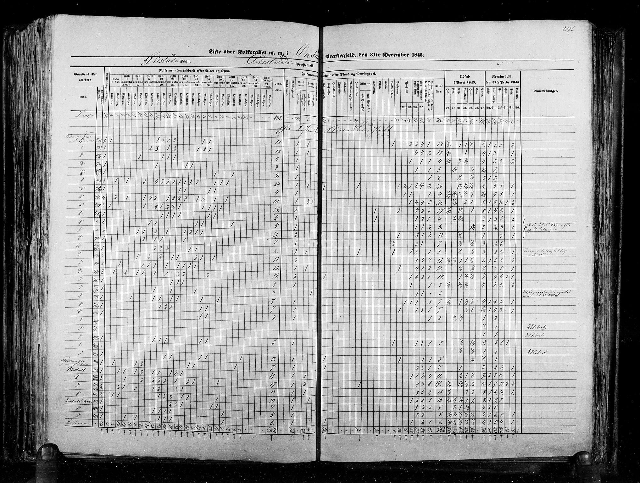 RA, Census 1845, vol. 5: Bratsberg amt og Nedenes og Råbyggelaget amt, 1845, p. 276