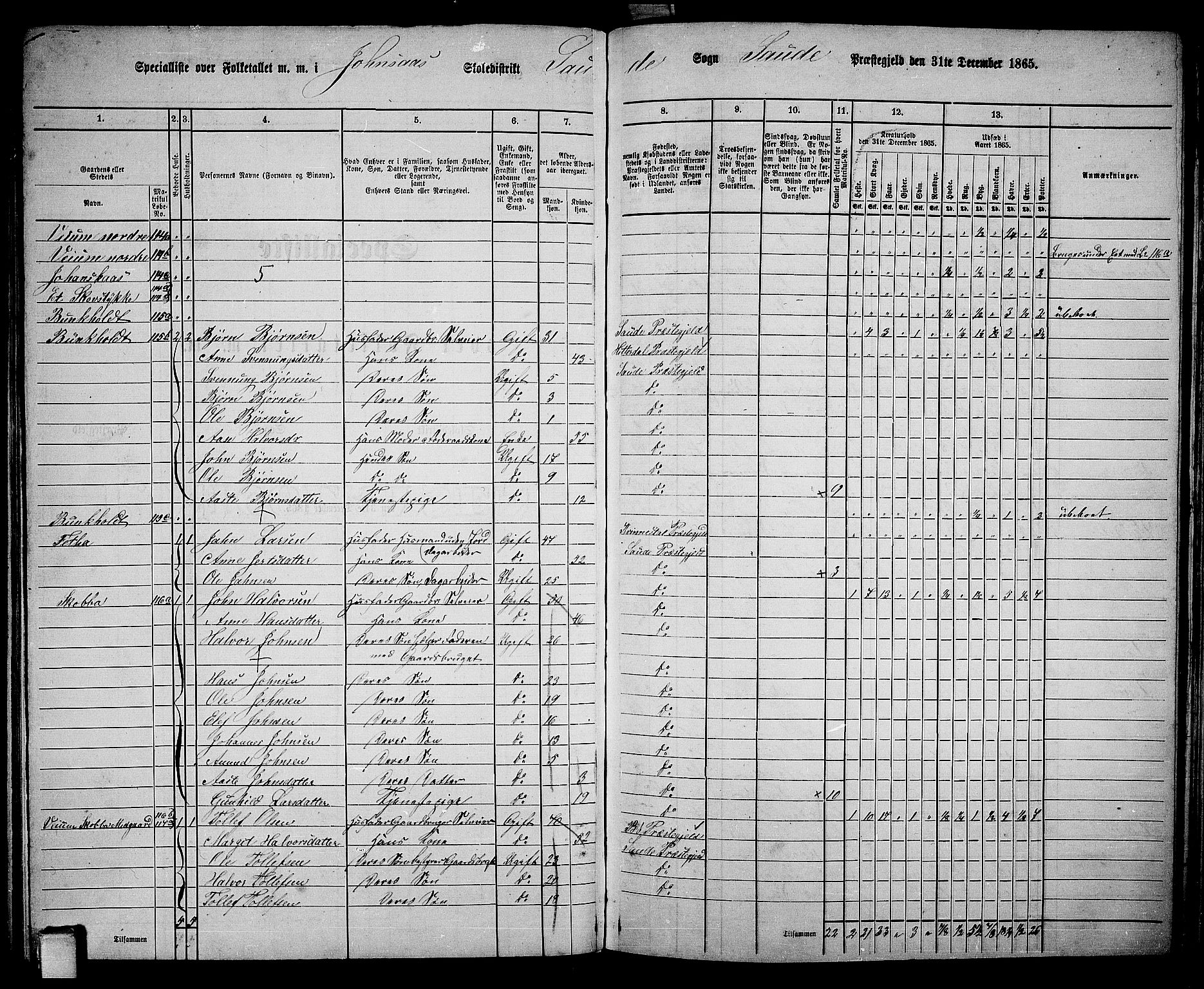 RA, 1865 census for Sauherad, 1865, p. 100