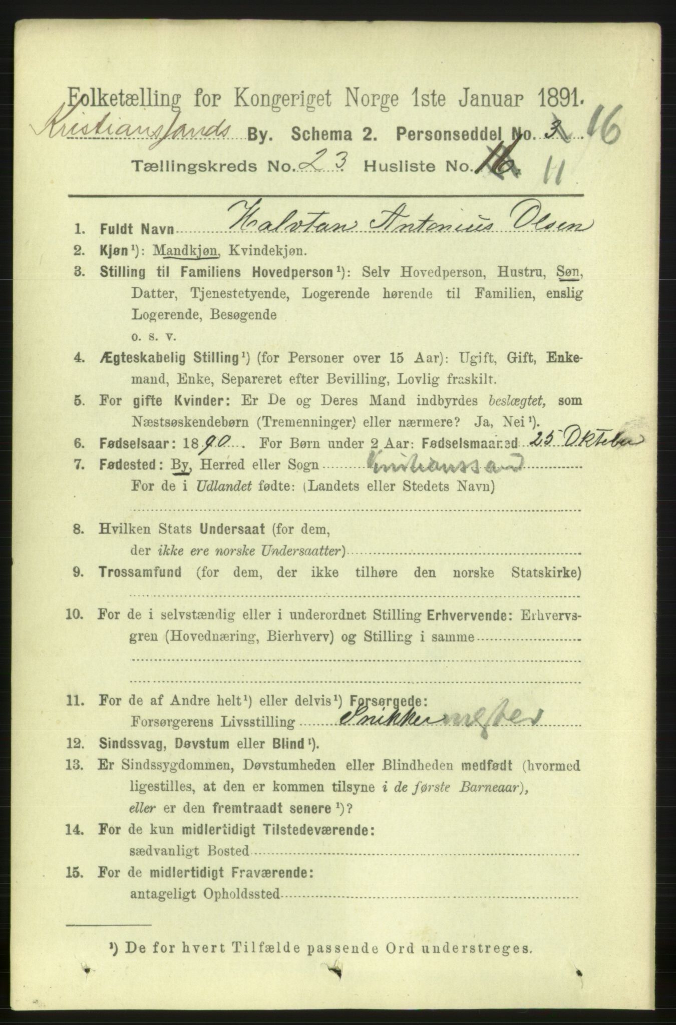 RA, 1891 census for 1001 Kristiansand, 1891, p. 8541