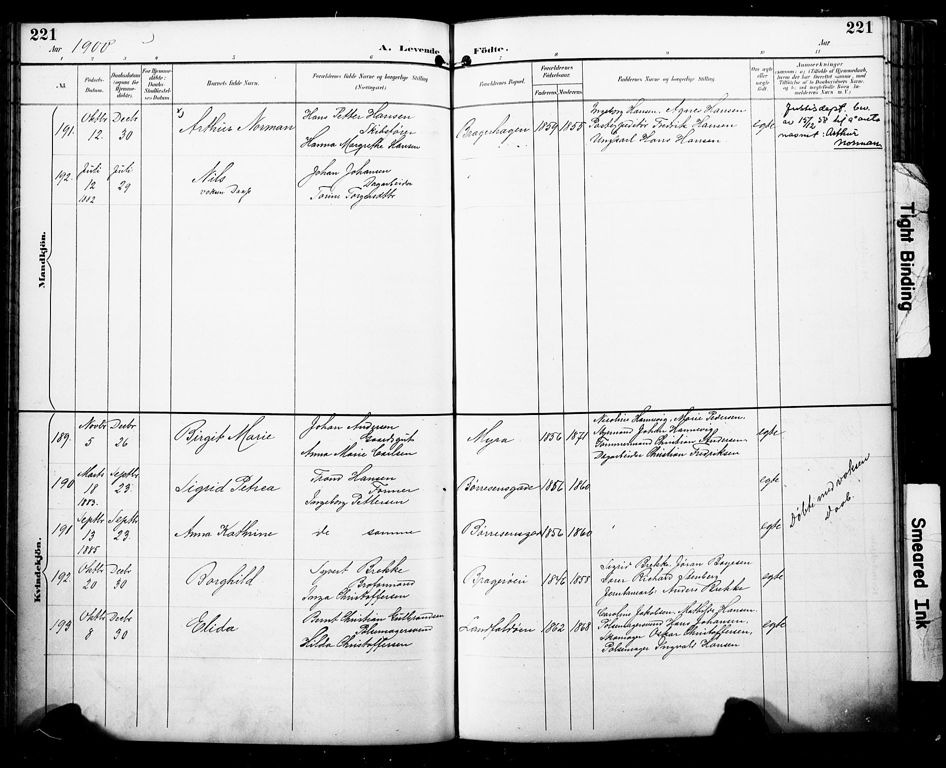 Bragernes kirkebøker, AV/SAKO-A-6/F/Fb/L0008: Parish register (official) no. II 8, 1894-1902, p. 221