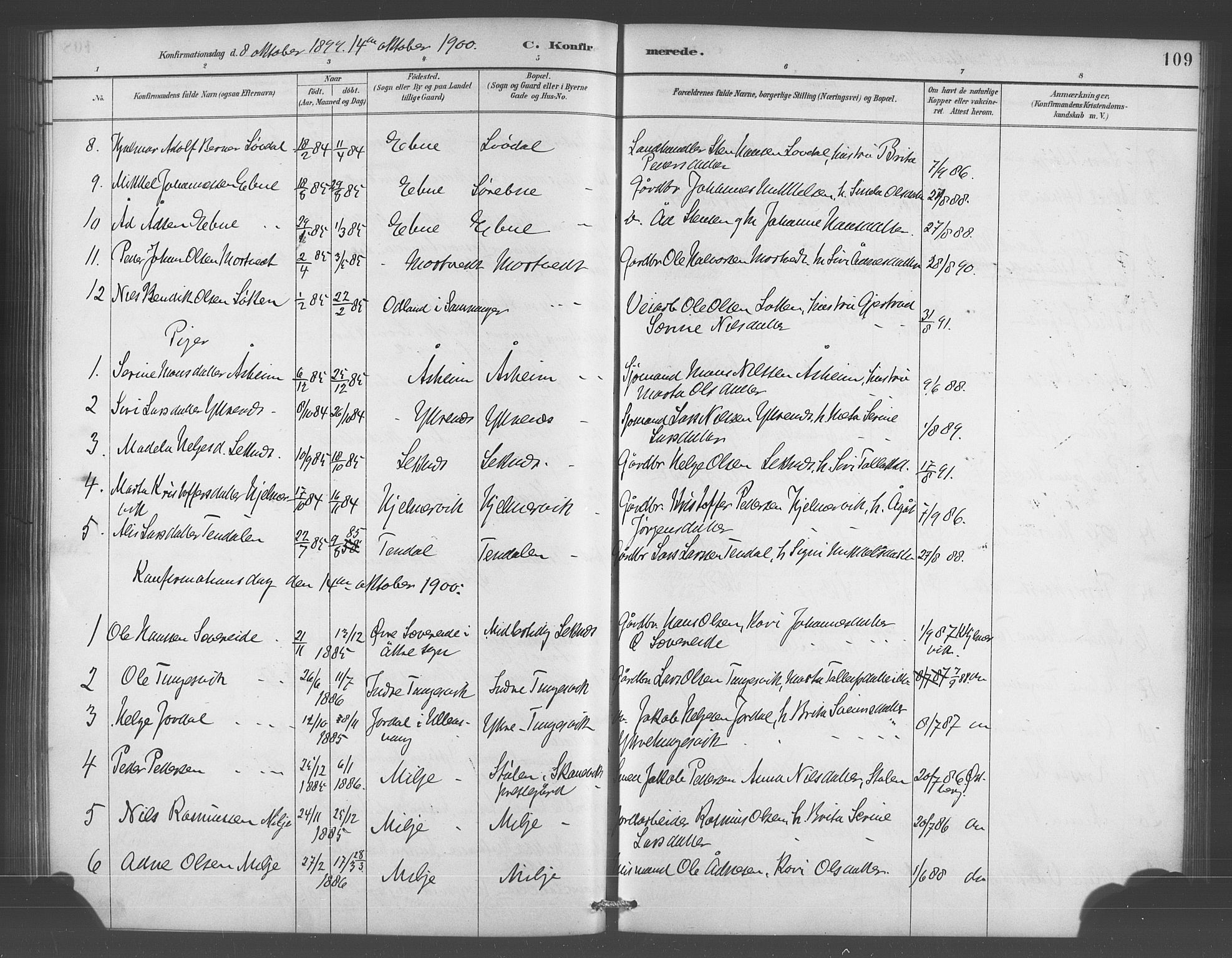 Skånevik sokneprestembete, SAB/A-77801/H/Hab: Parish register (copy) no. A 2, 1888-1924, p. 109