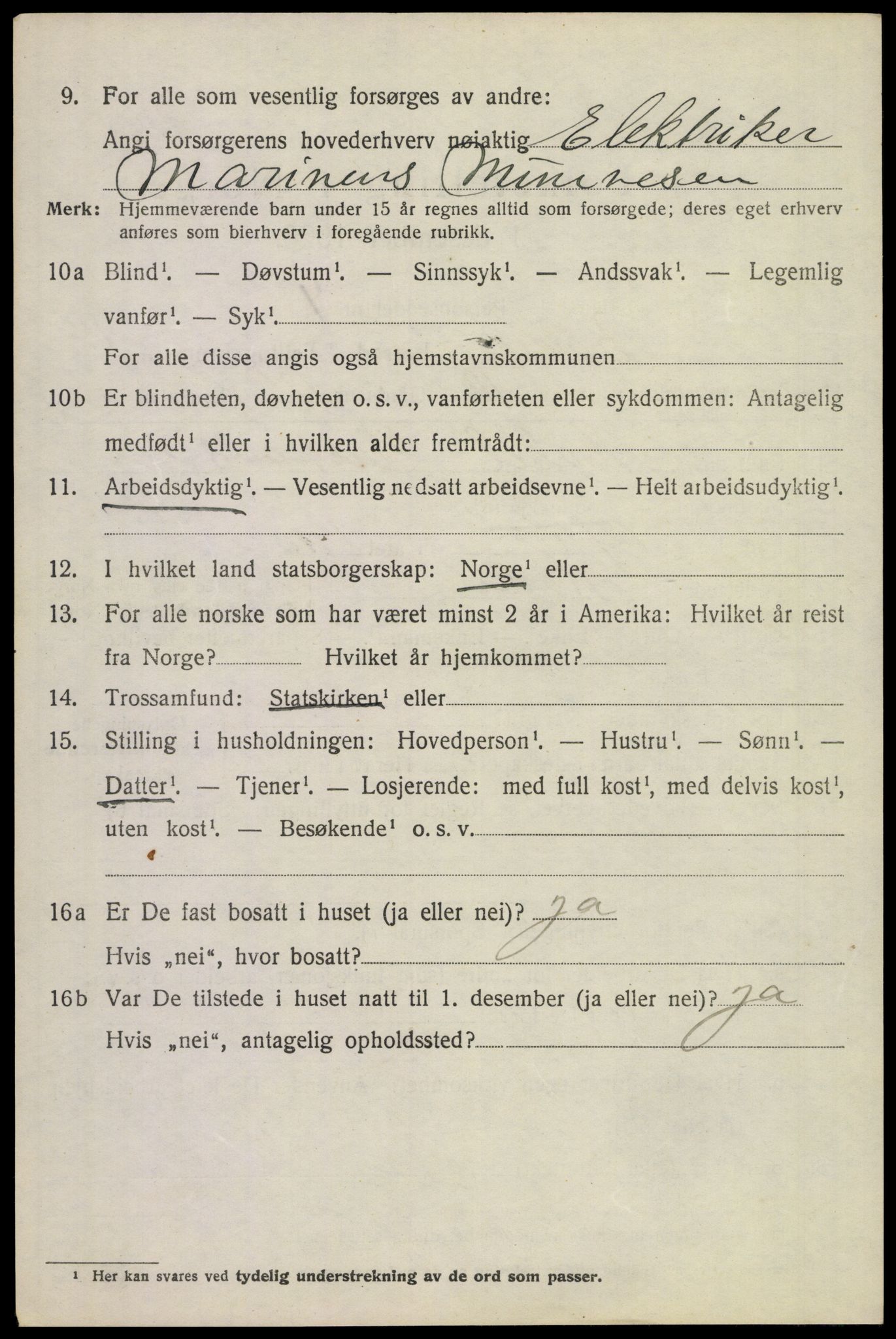 SAKO, 1920 census for Borre, 1920, p. 1565