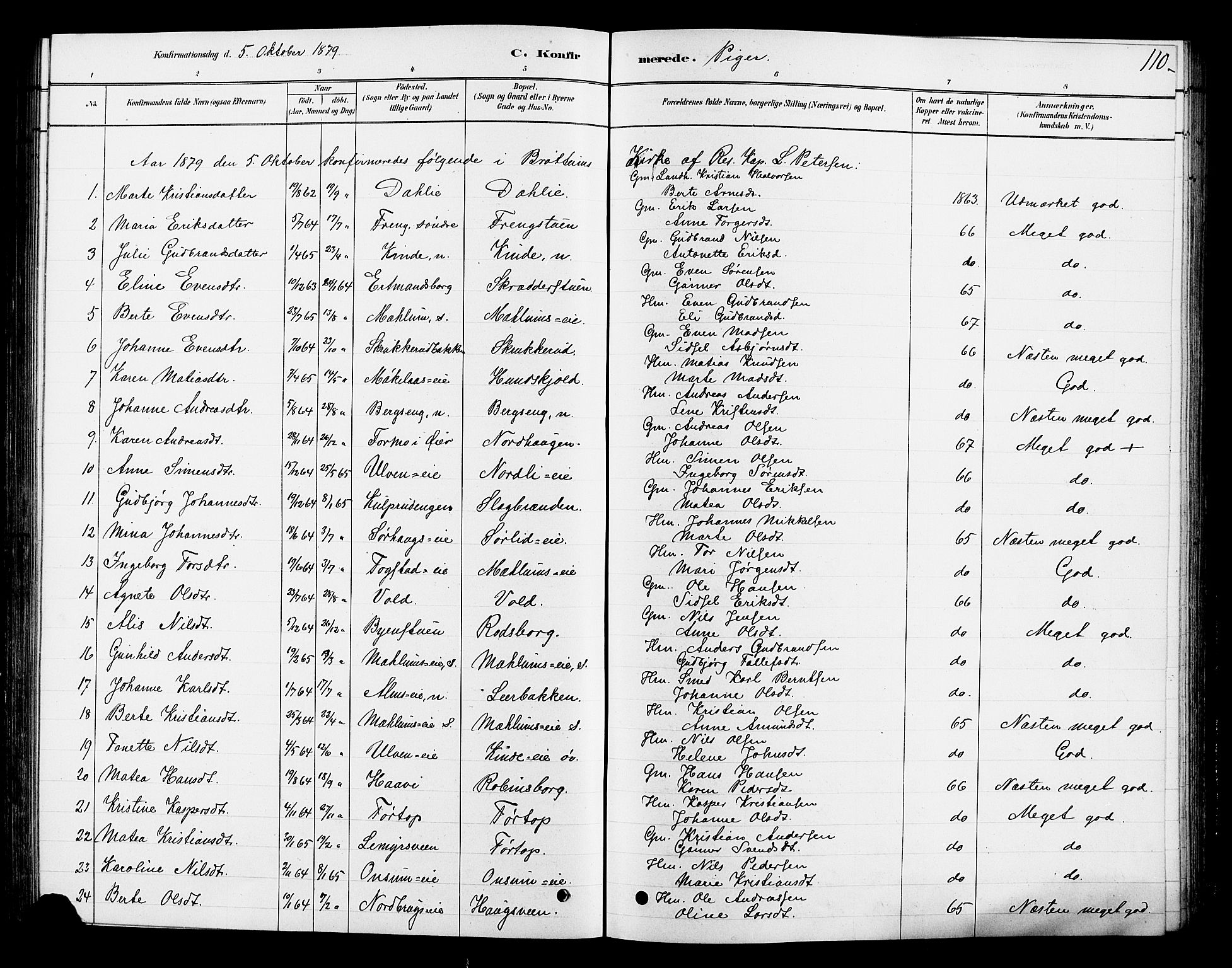 Ringsaker prestekontor, SAH/PREST-014/L/La/L0010: Parish register (copy) no. 10, 1879-1890, p. 110