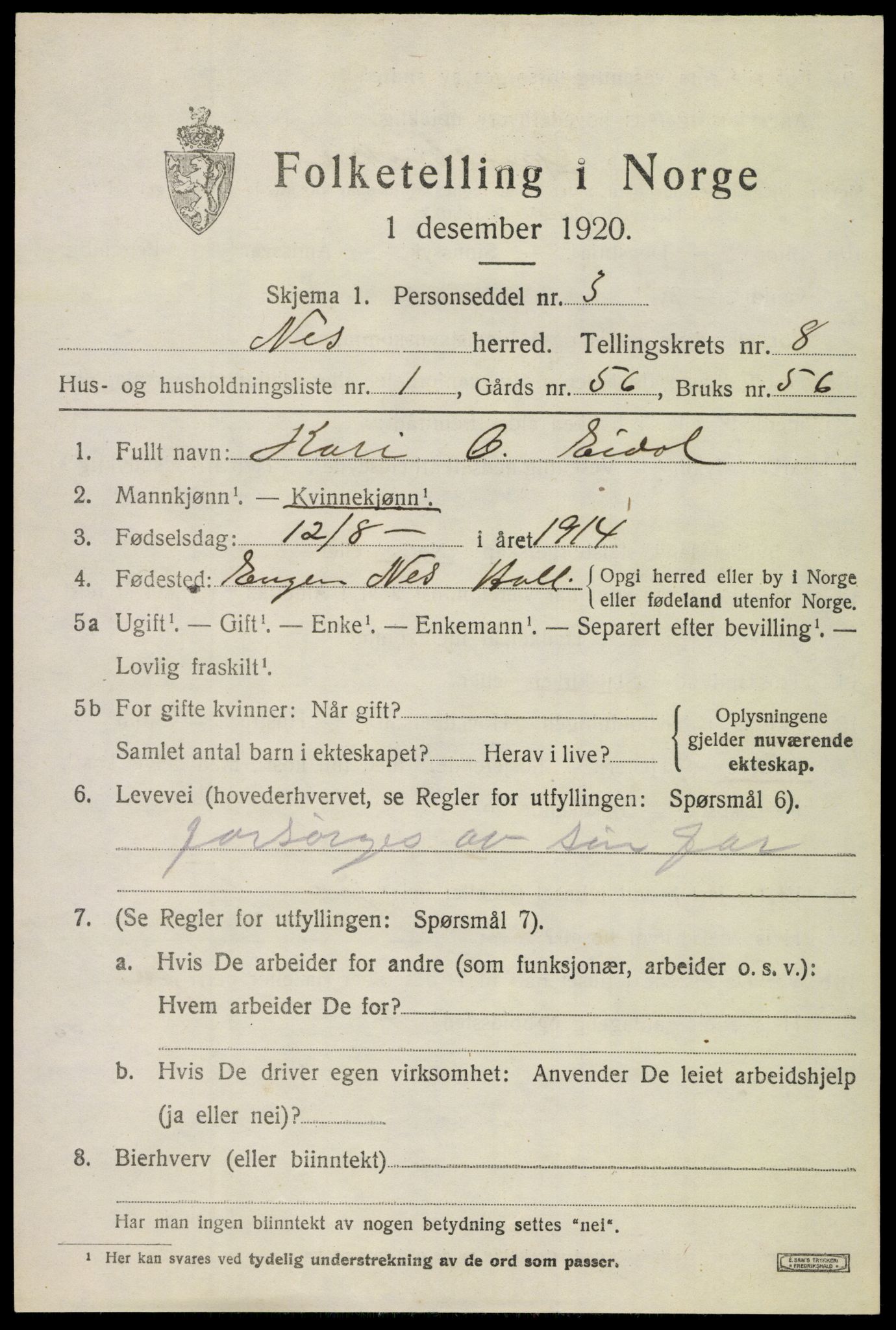 SAKO, 1920 census for Nes (Buskerud), 1920, p. 5068