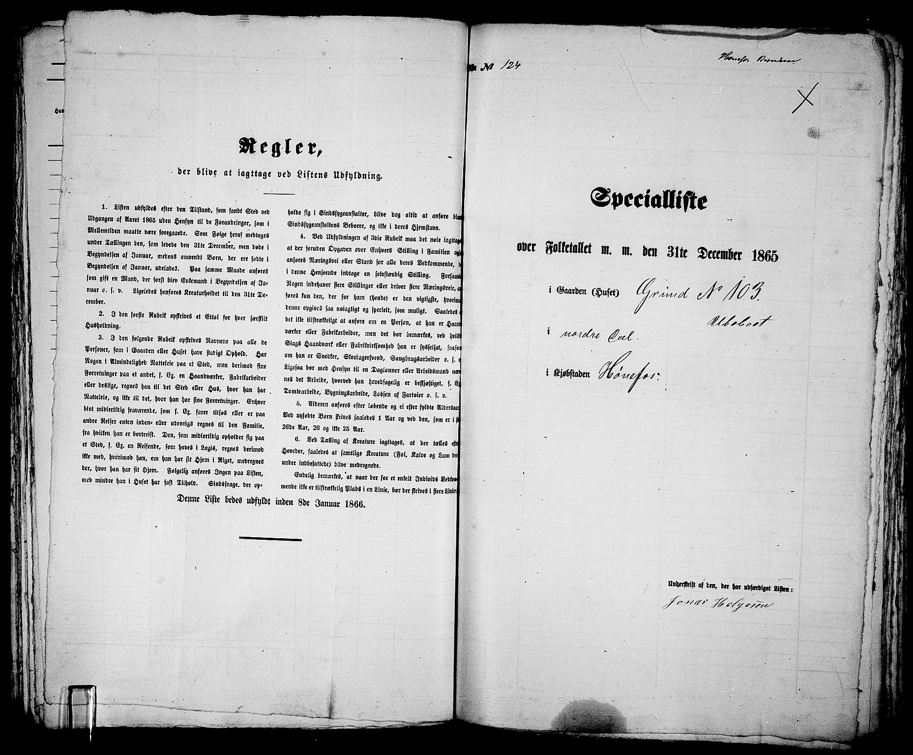 RA, 1865 census for Norderhov/Hønefoss, 1865, p. 241