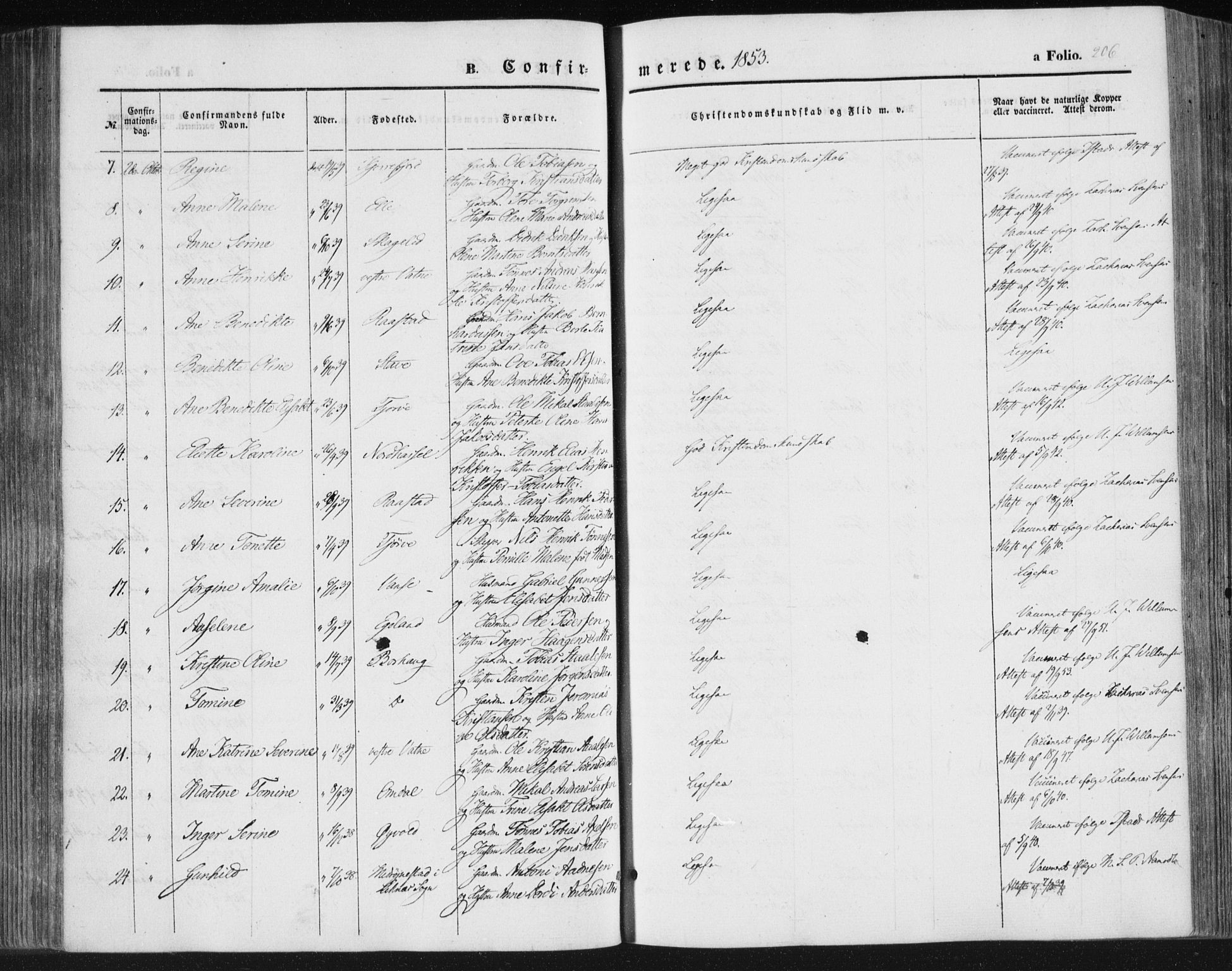 Lista sokneprestkontor, SAK/1111-0027/F/Fa/L0010: Parish register (official) no. A 10, 1846-1861, p. 206