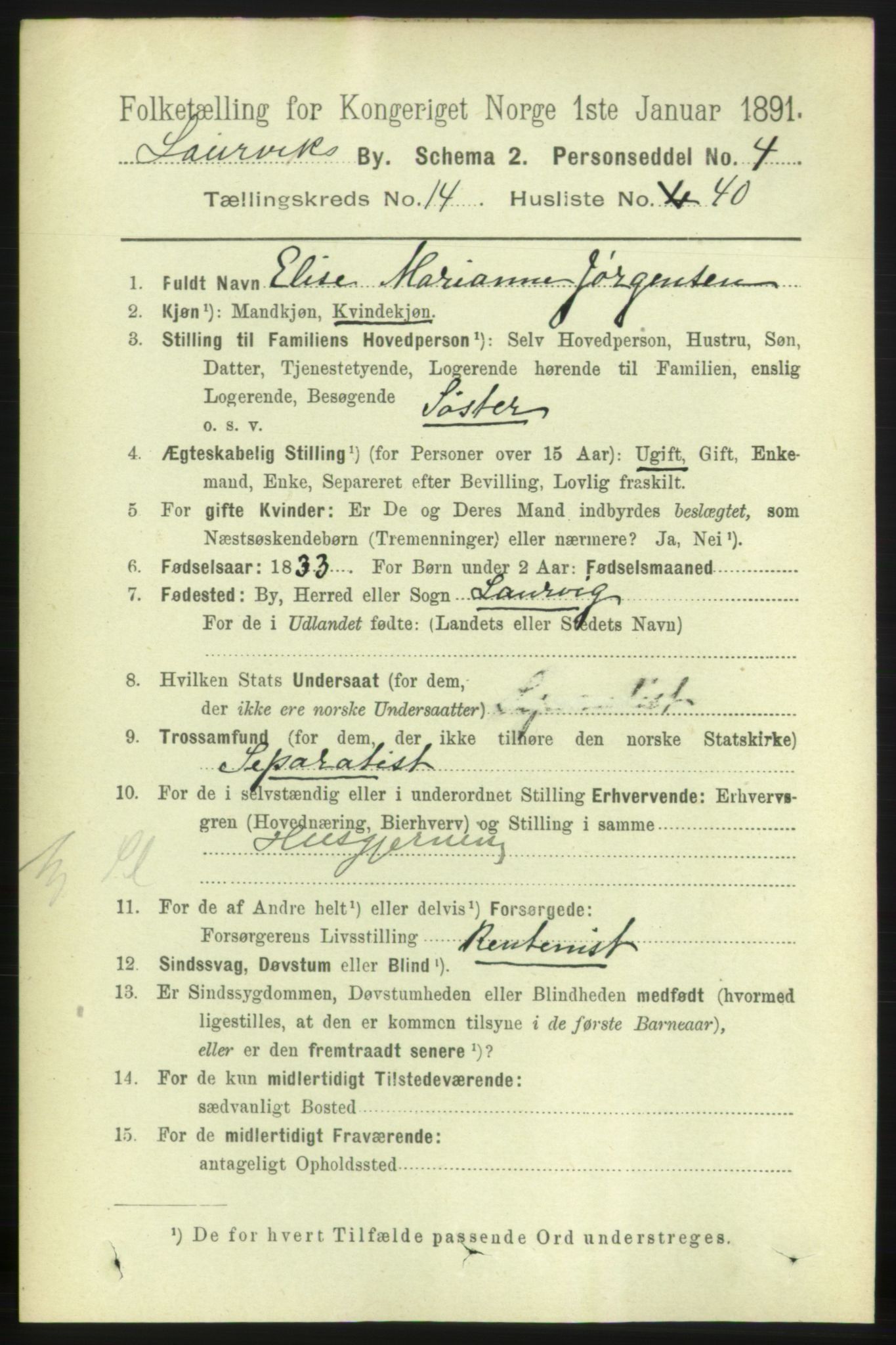 RA, 1891 census for 0707 Larvik, 1891, p. 11300