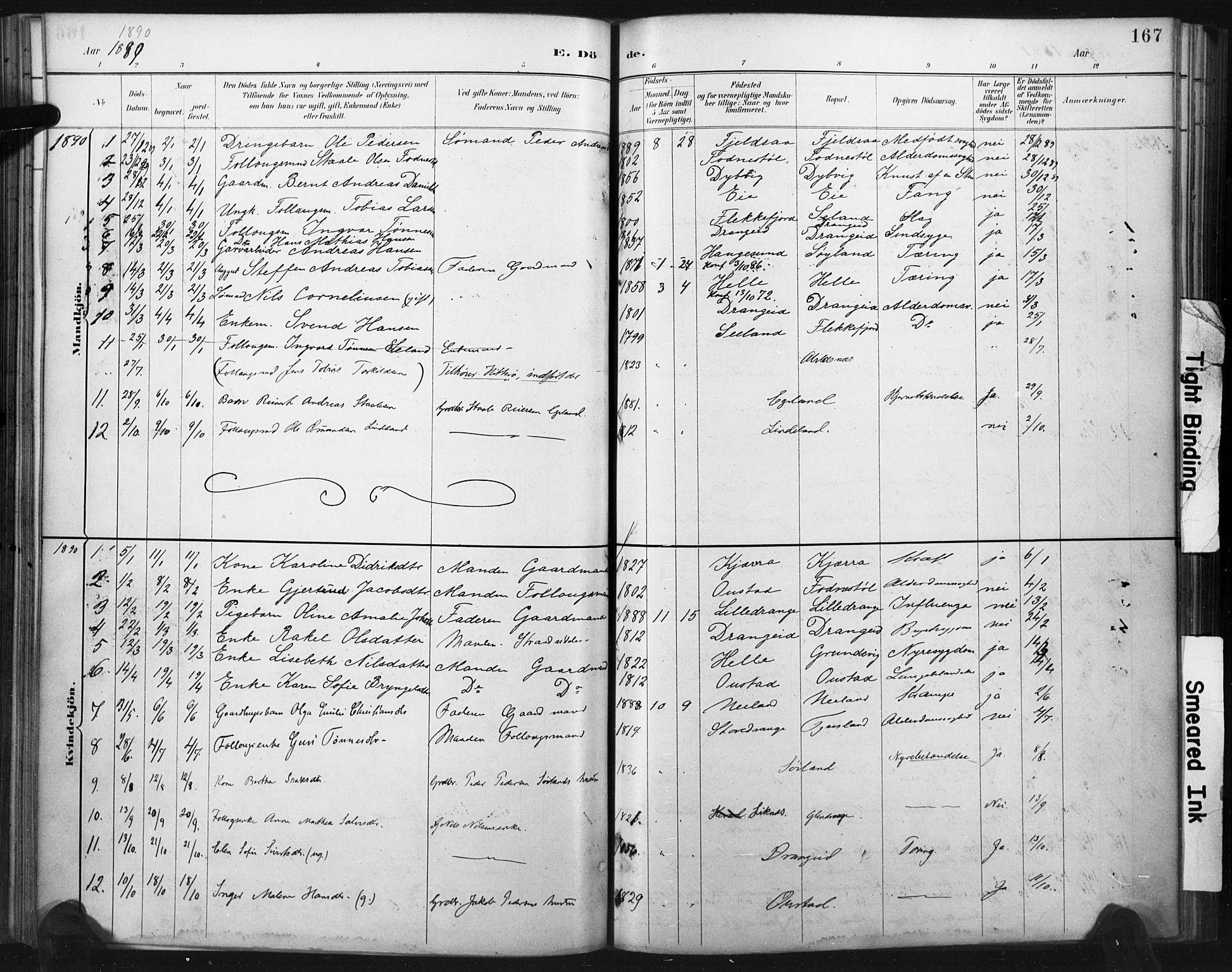 Flekkefjord sokneprestkontor, SAK/1111-0012/F/Fa/Fac/L0008: Parish register (official) no. A 8, 1885-1898, p. 167