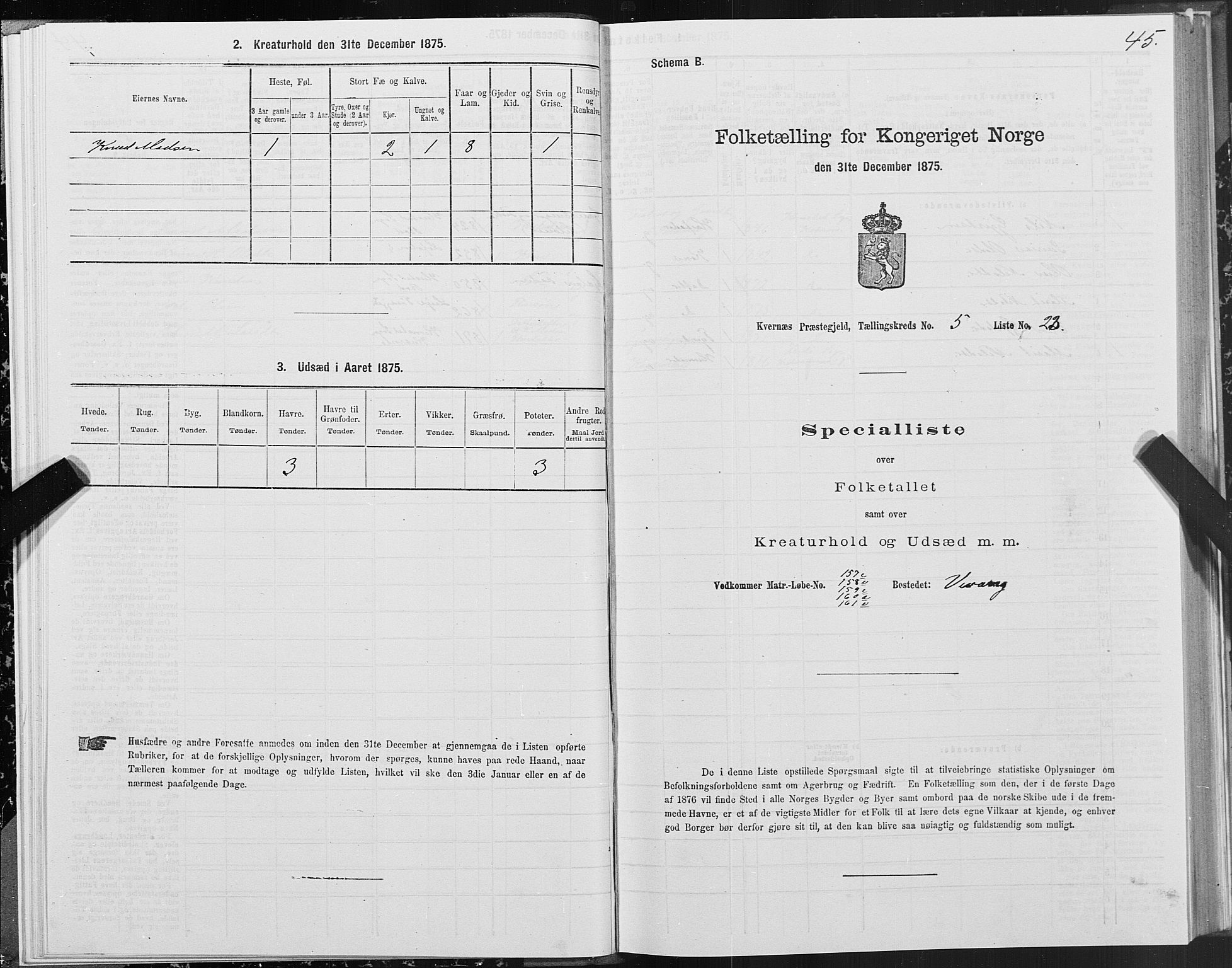 SAT, 1875 census for 1553P Kvernes, 1875, p. 3045