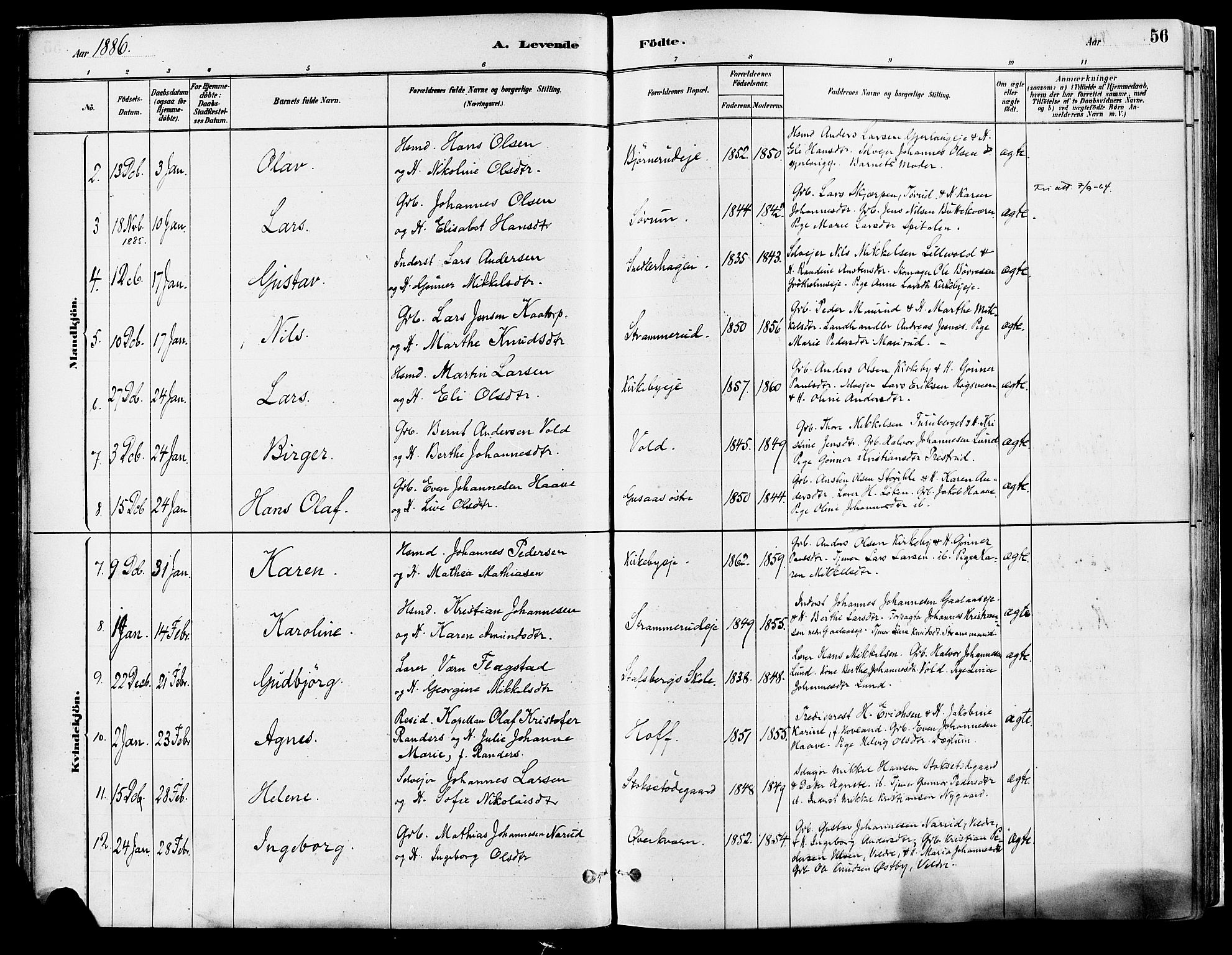 Vang prestekontor, Hedmark, SAH/PREST-008/H/Ha/Haa/L0018A: Parish register (official) no. 18A, 1880-1906, p. 56