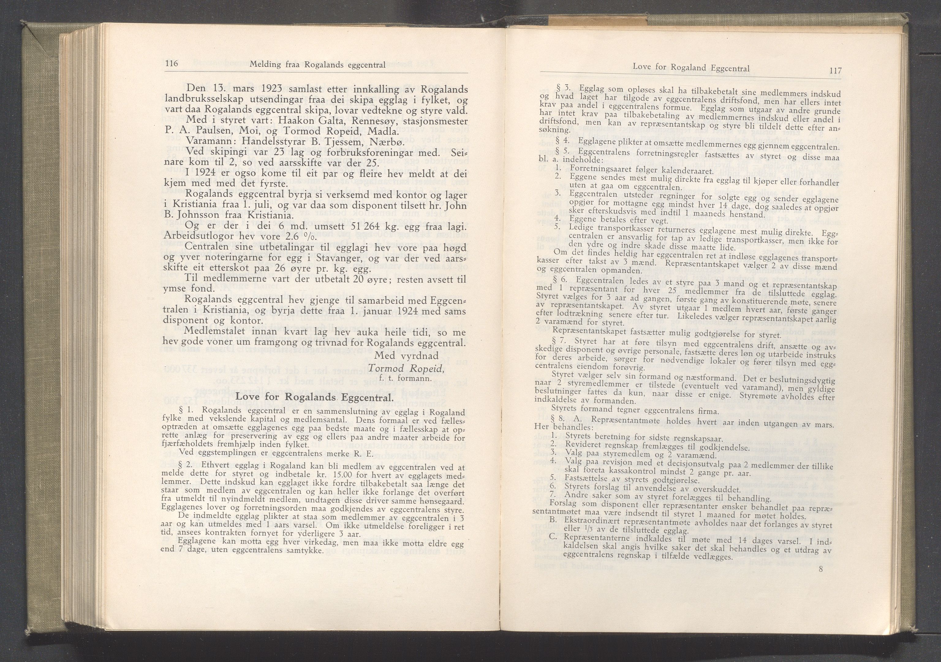 Rogaland fylkeskommune - Fylkesrådmannen , IKAR/A-900/A/Aa/Aaa/L0043: Møtebok , 1924, p. 116-117