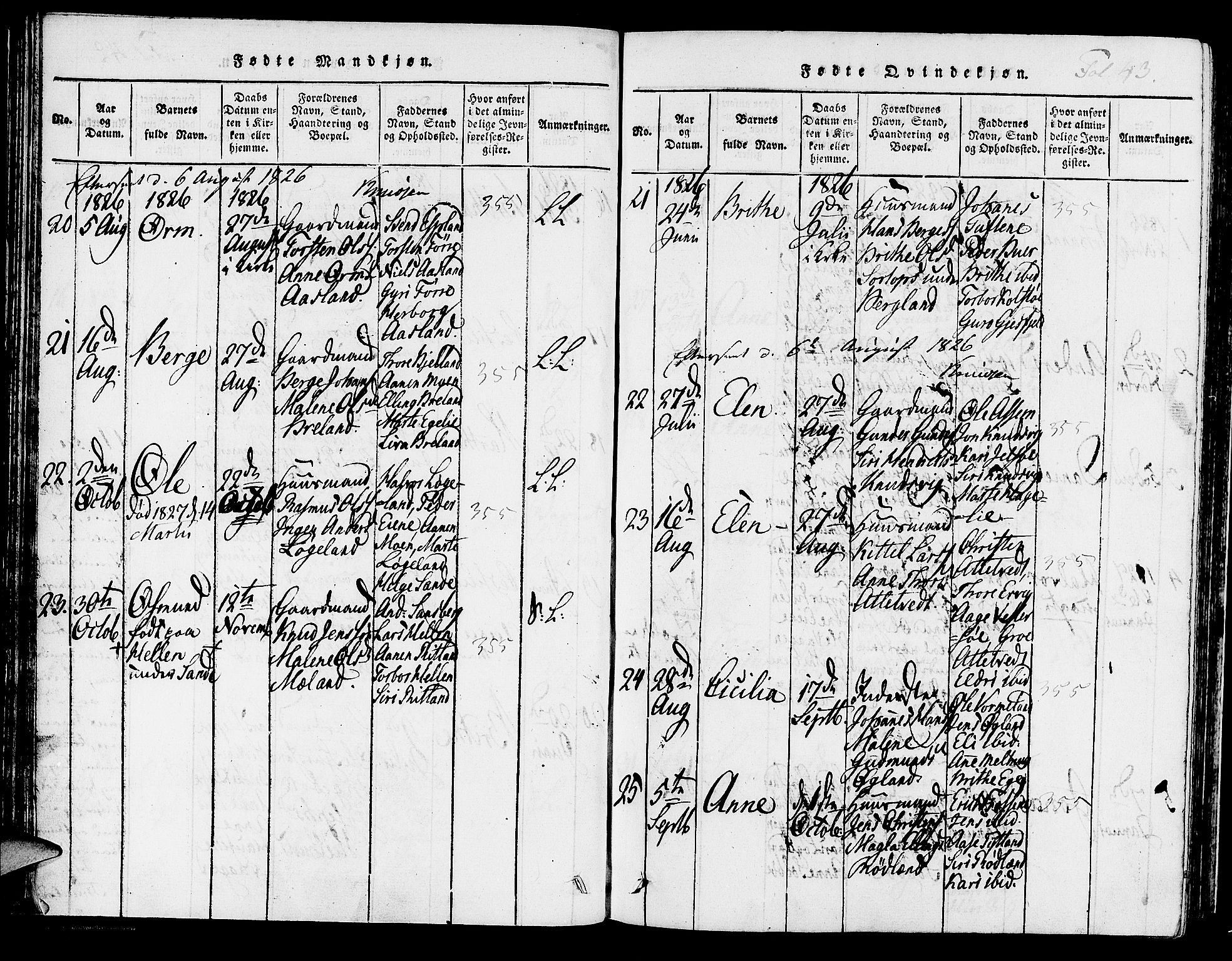 Hjelmeland sokneprestkontor, SAST/A-101843/01/IV/L0003: Parish register (official) no. A 3, 1816-1834, p. 43