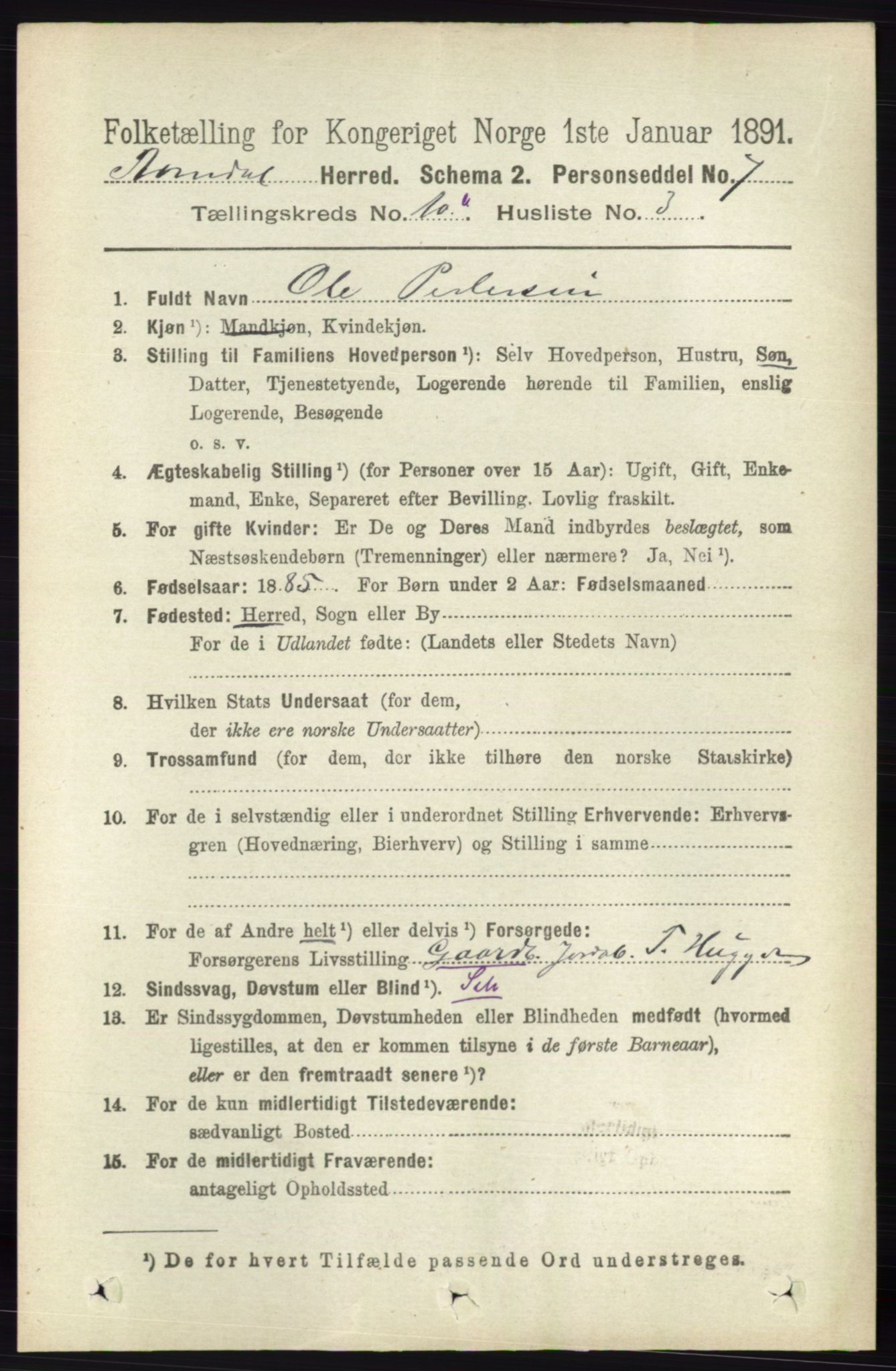 RA, 1891 census for 0416 Romedal, 1891, p. 4828