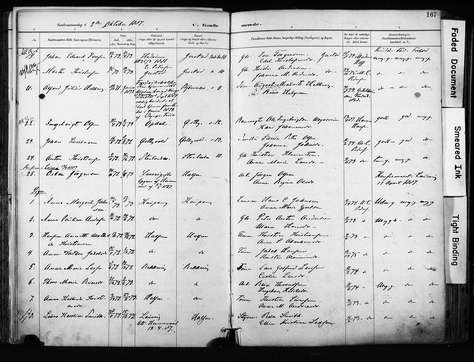 Tjølling kirkebøker, SAKO/A-60/F/Fa/L0009: Parish register (official) no. 9, 1887-1905, p. 167