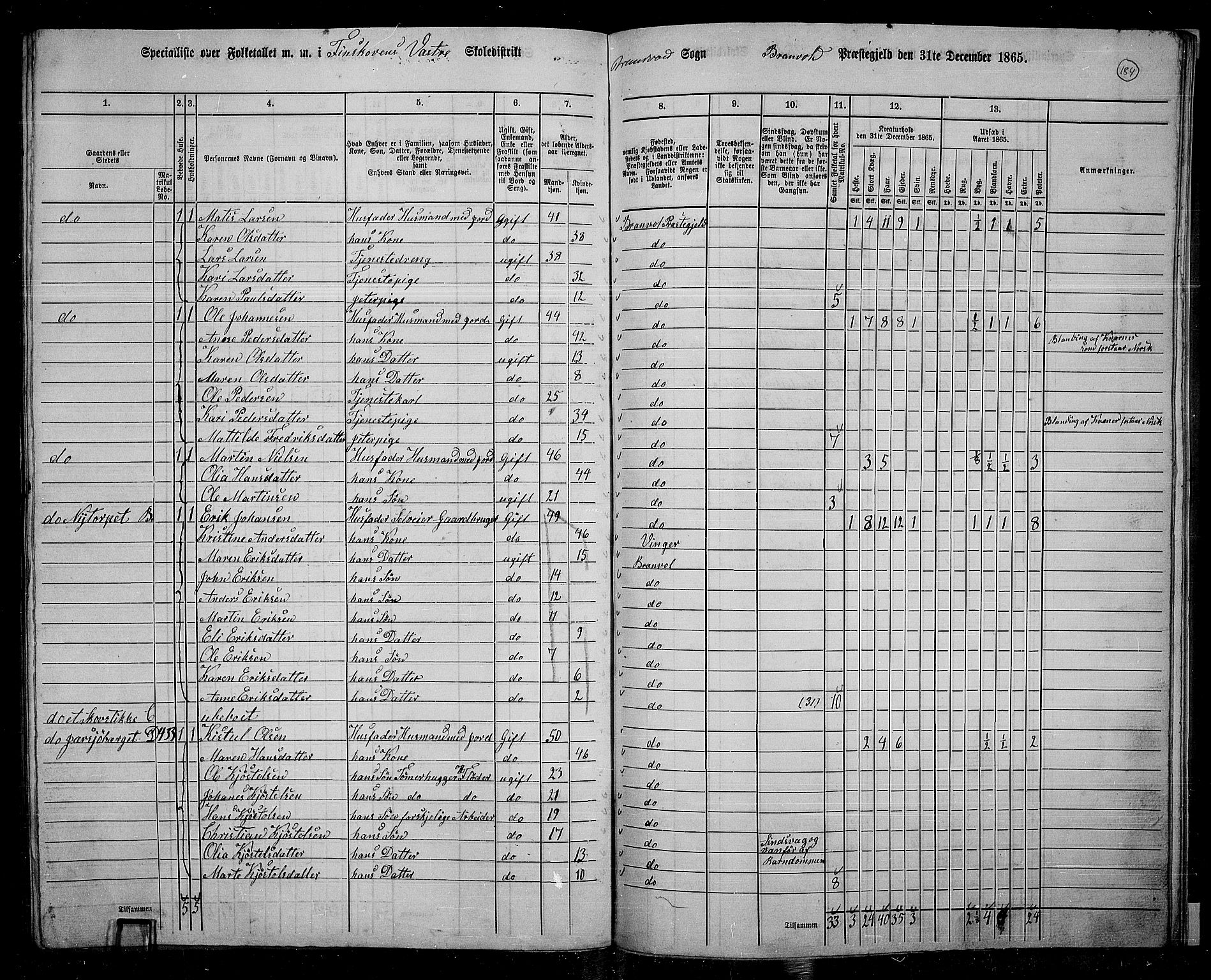 RA, 1865 census for Brandval, 1865, p. 156