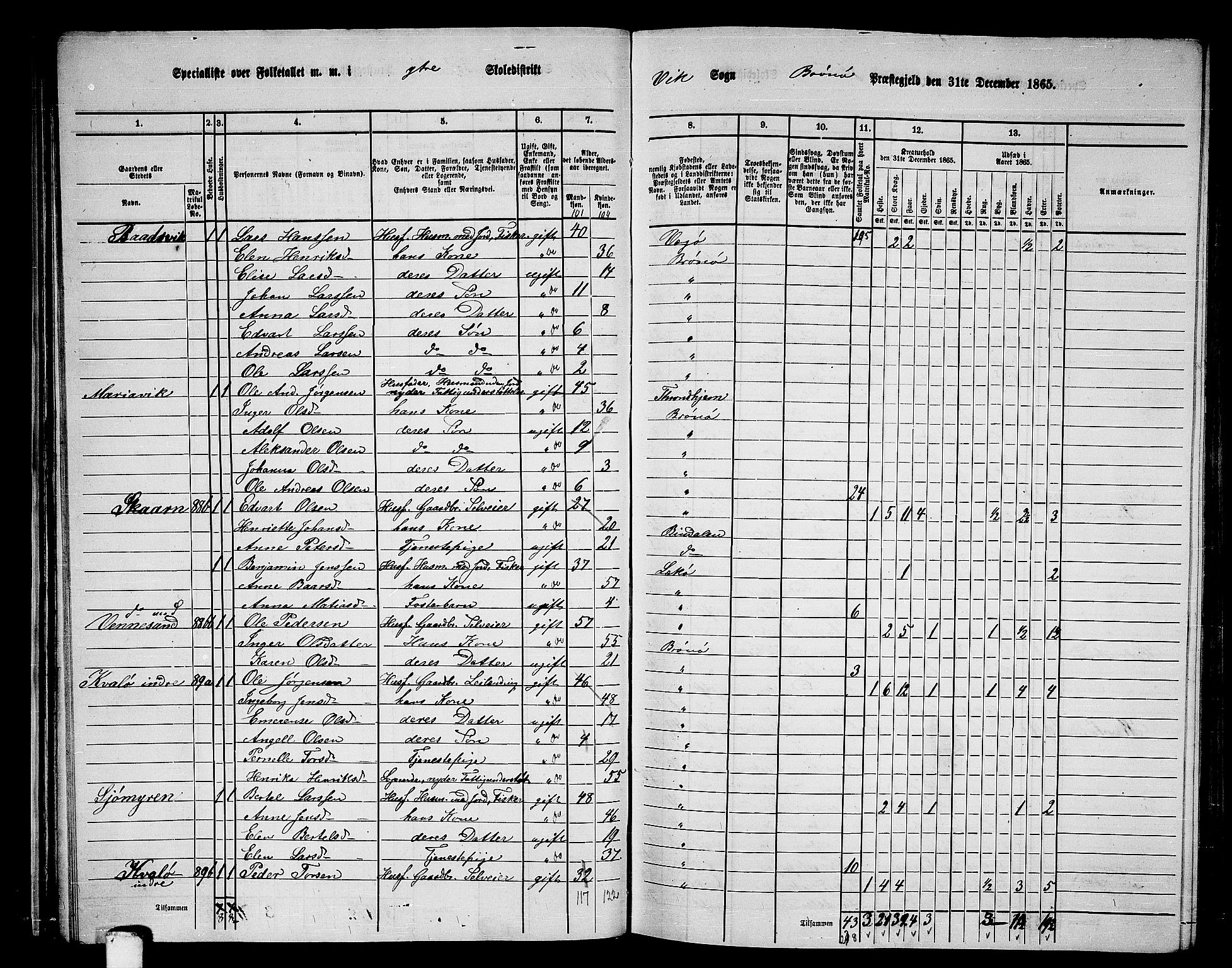 RA, 1865 census for Brønnøy, 1865, p. 40