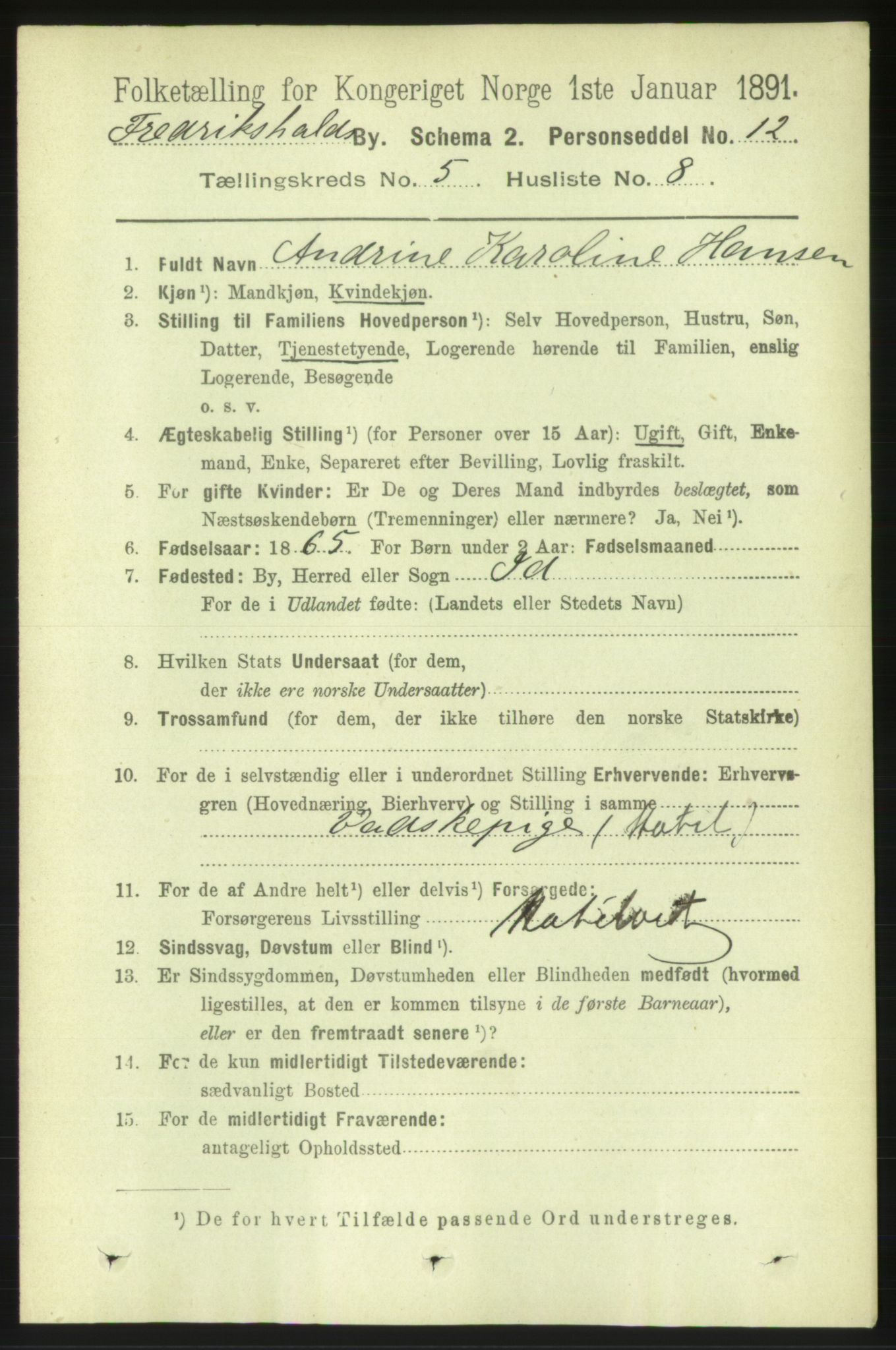 RA, 1891 census for 0101 Fredrikshald, 1891, p. 4107