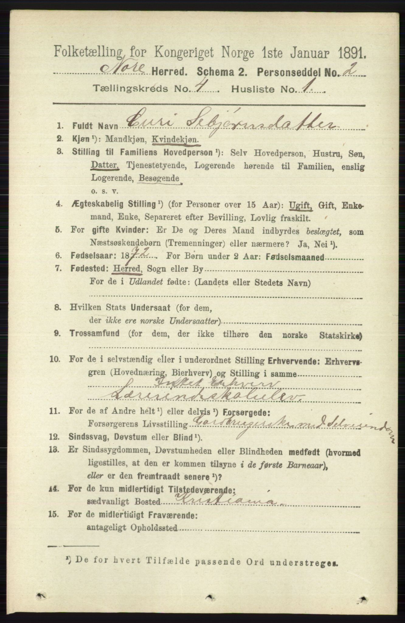 RA, 1891 census for 0633 Nore, 1891, p. 1266