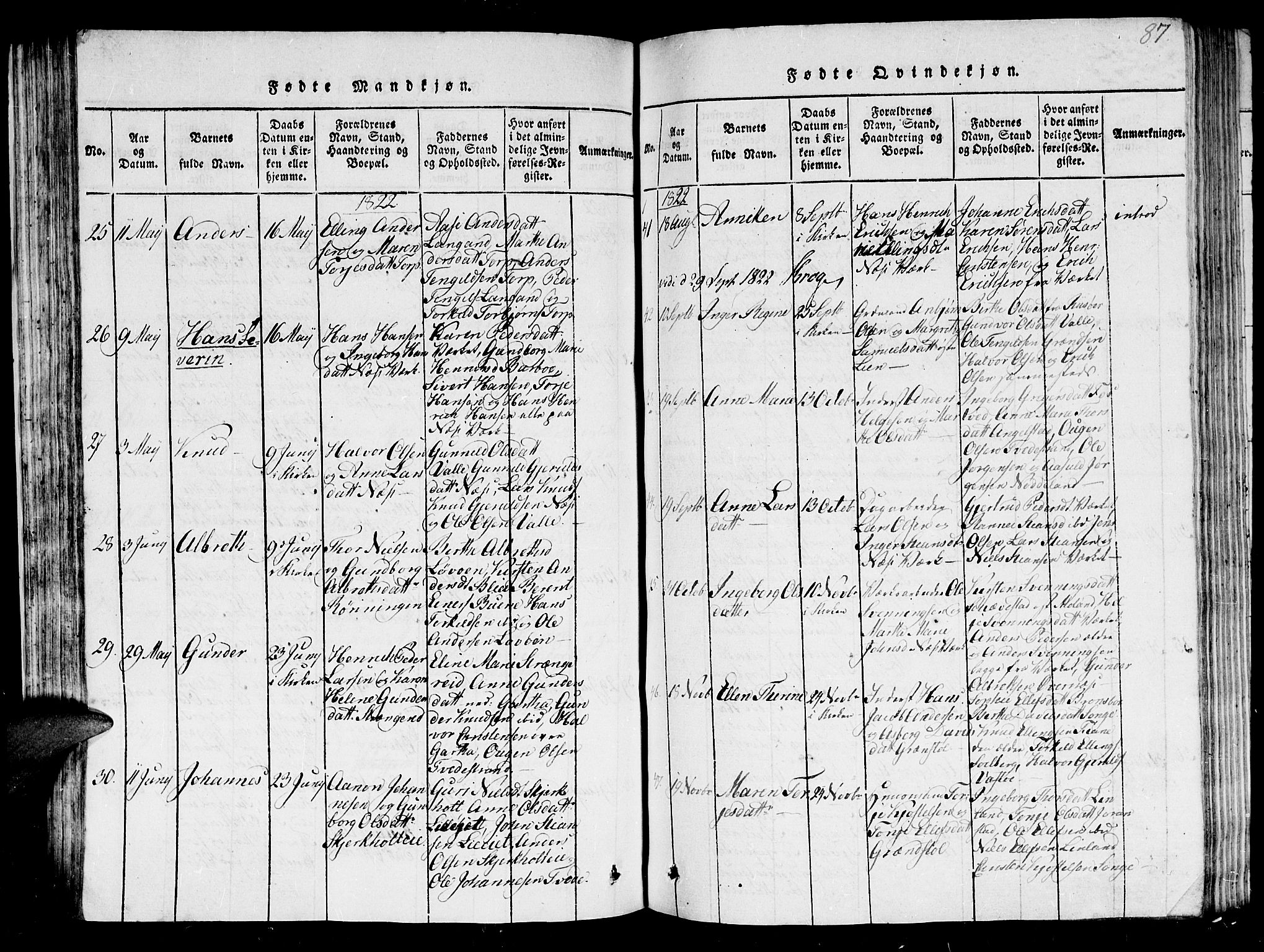 Holt sokneprestkontor, AV/SAK-1111-0021/F/Fb/L0006: Parish register (copy) no. B 6, 1813-1823, p. 87