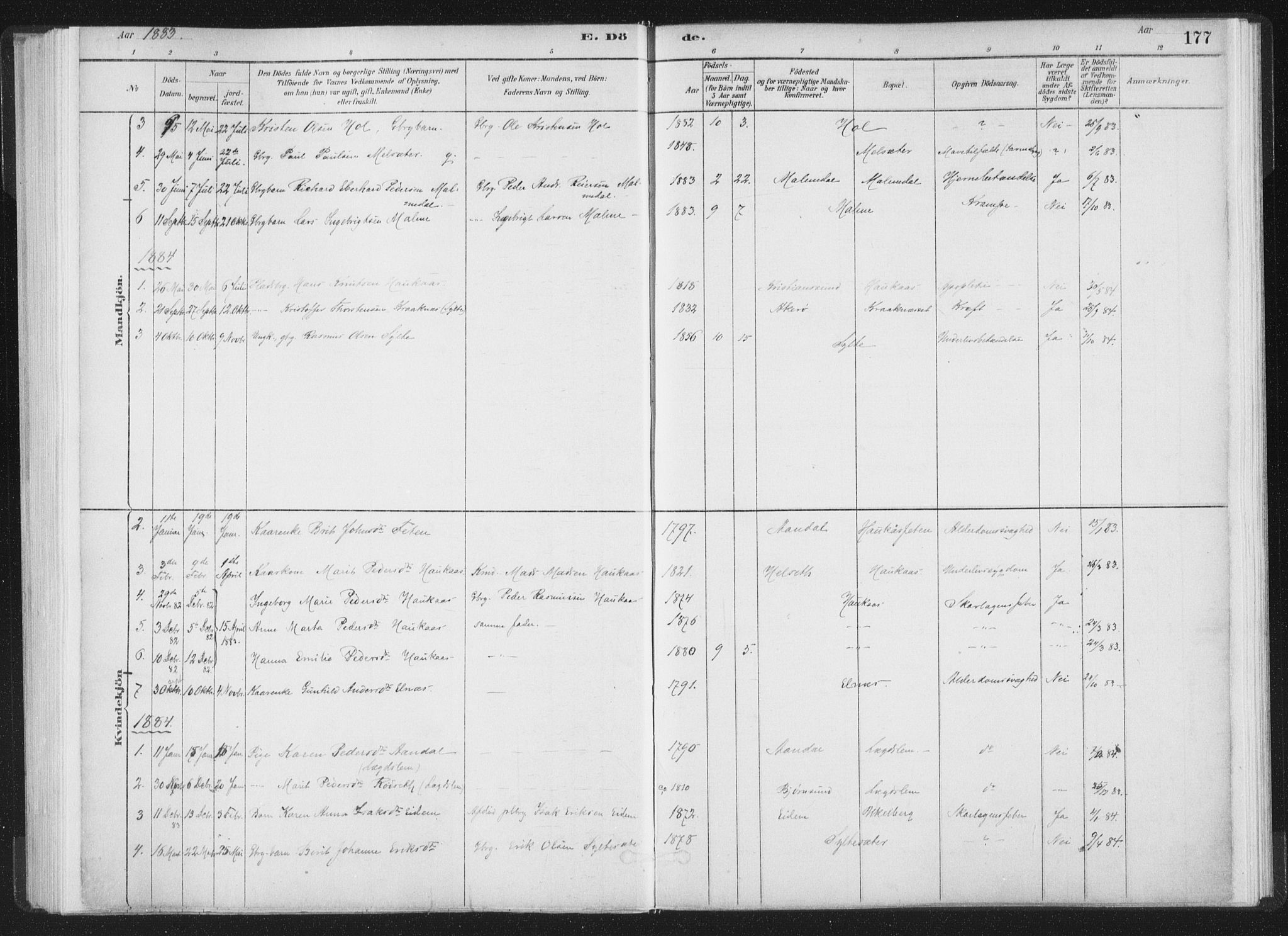 Ministerialprotokoller, klokkerbøker og fødselsregistre - Møre og Romsdal, AV/SAT-A-1454/564/L0740: Parish register (official) no. 564A01, 1880-1899, p. 177