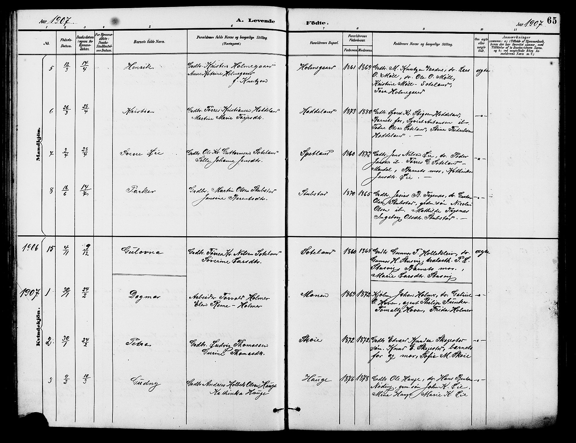Holum sokneprestkontor, SAK/1111-0022/F/Fb/Fba/L0005: Parish register (copy) no. B 5, 1891-1909, p. 65