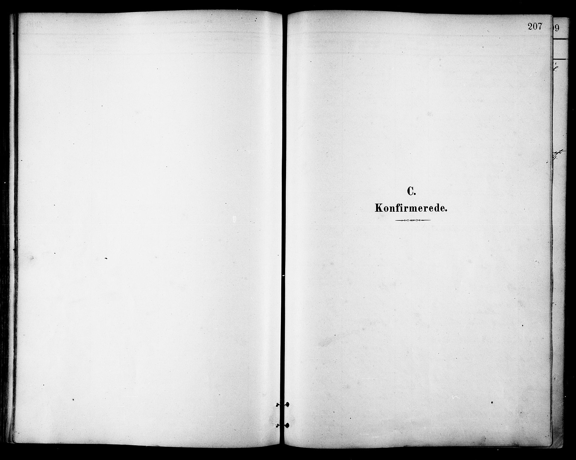 Ministerialprotokoller, klokkerbøker og fødselsregistre - Nordland, SAT/A-1459/866/L0938: Parish register (official) no. 866A01, 1879-1893, p. 207