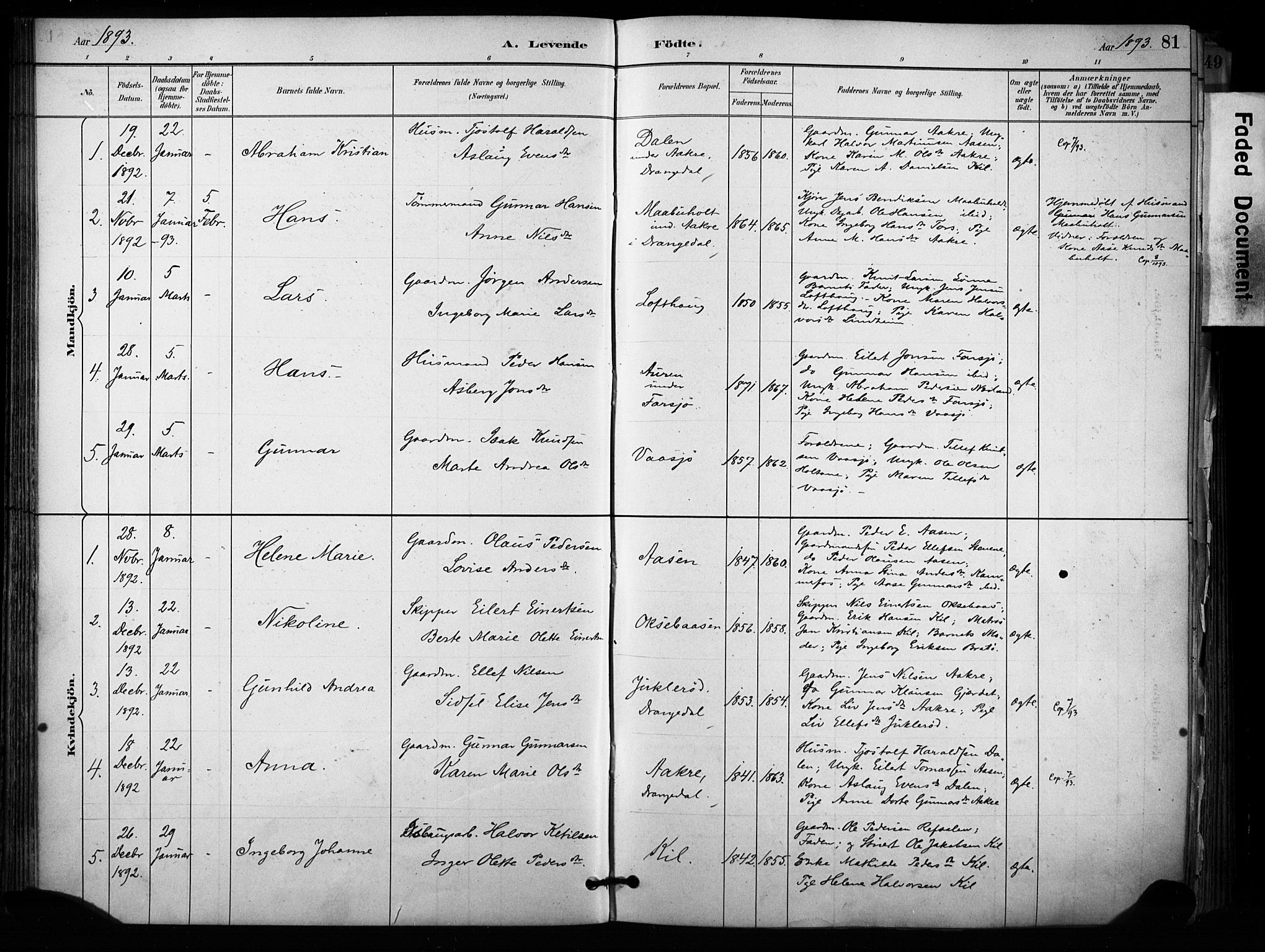 Sannidal kirkebøker, SAKO/A-296/F/Fa/L0015: Parish register (official) no. 15, 1884-1899, p. 81