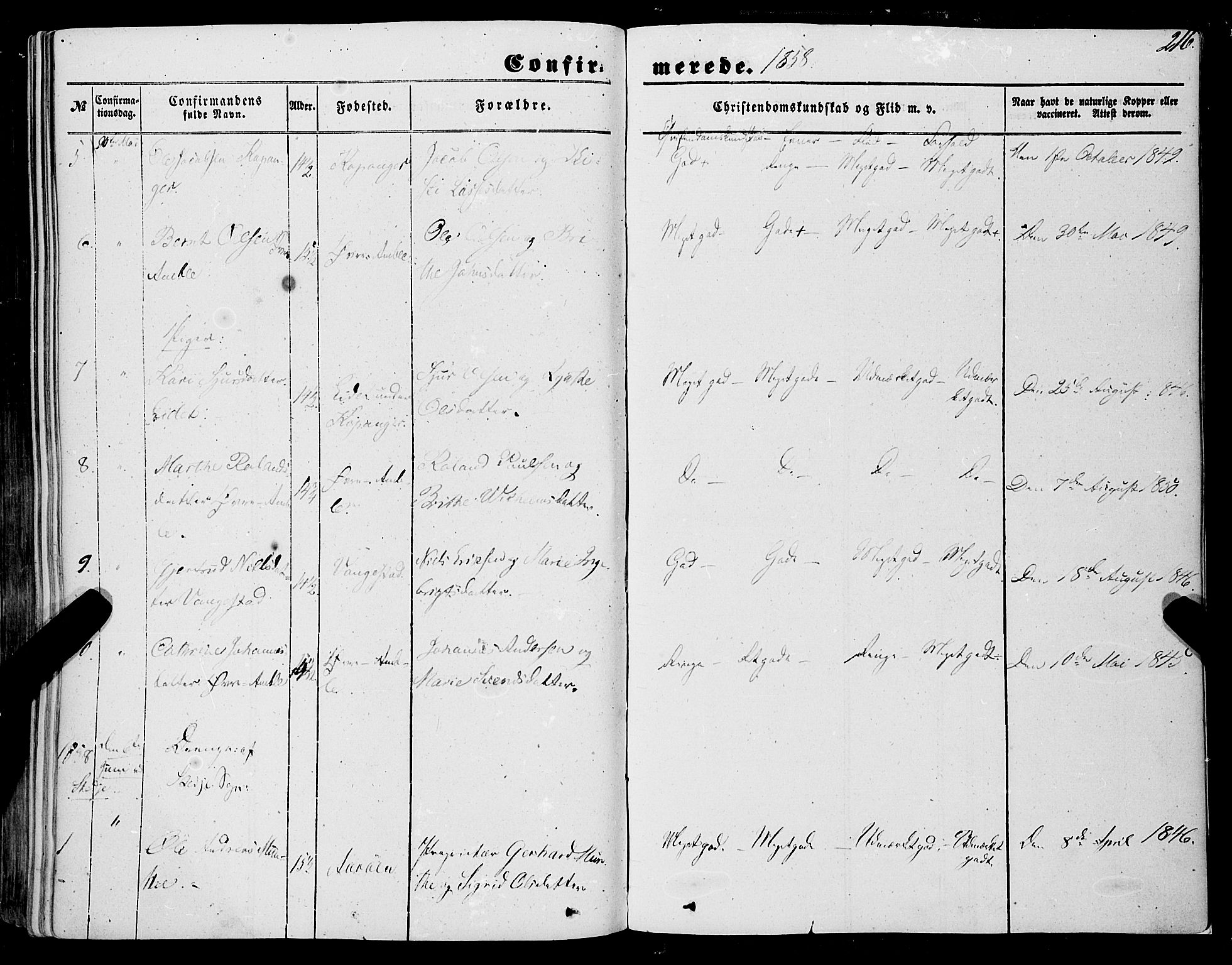 Sogndal sokneprestembete, AV/SAB-A-81301/H/Haa/Haaa/L0012I: Parish register (official) no. A 12I, 1847-1859, p. 216