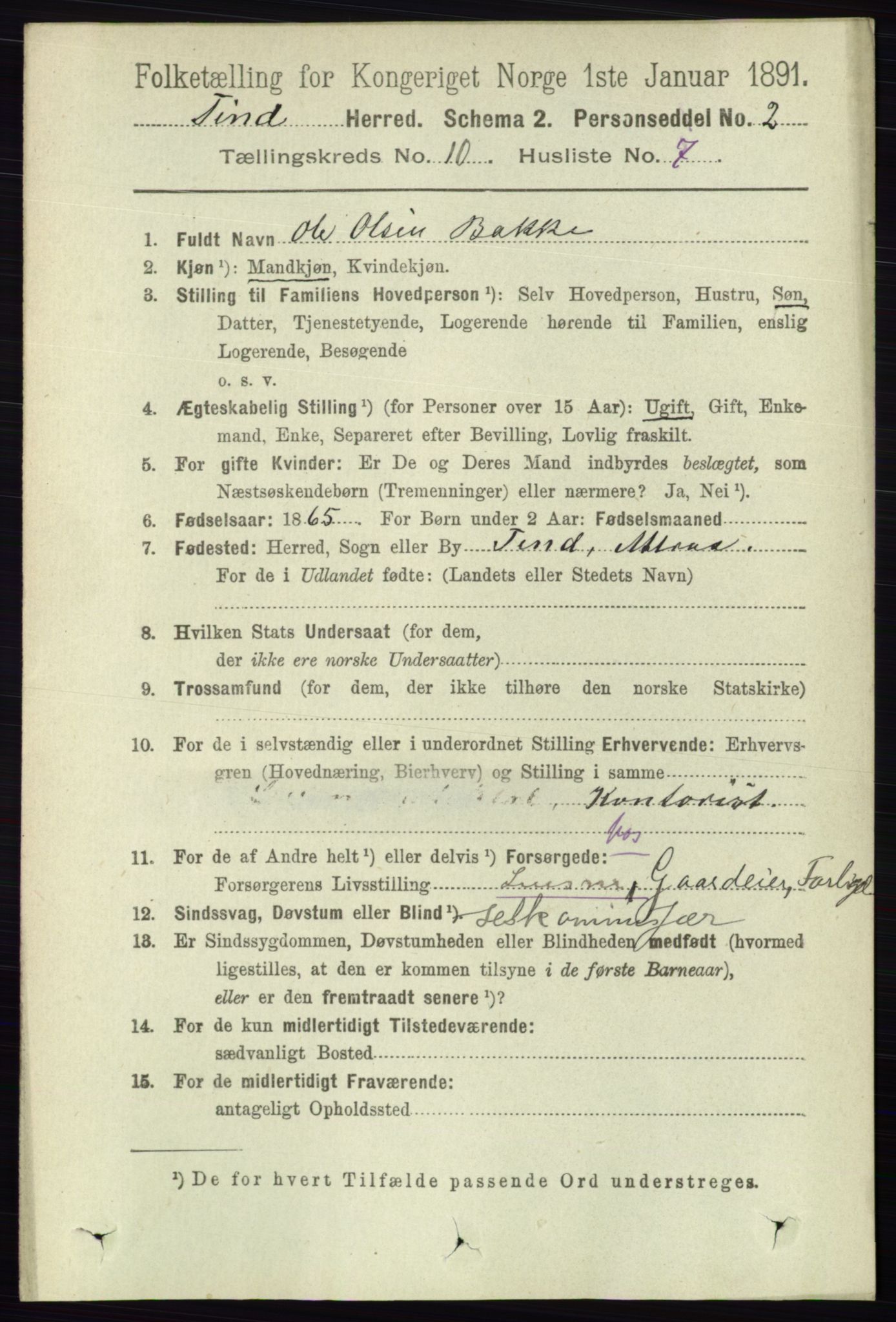RA, 1891 census for 0826 Tinn, 1891, p. 2008