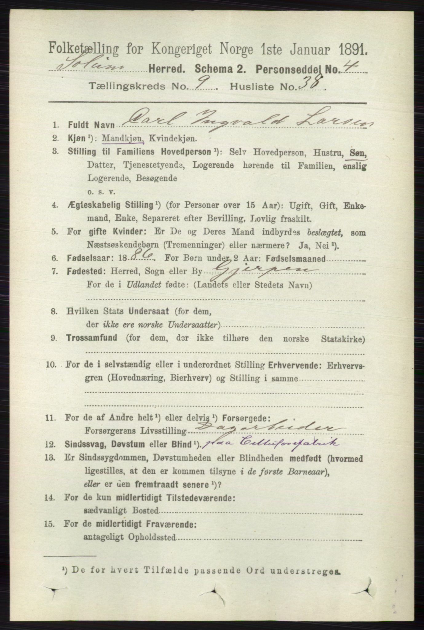 RA, 1891 census for 0818 Solum, 1891, p. 2173