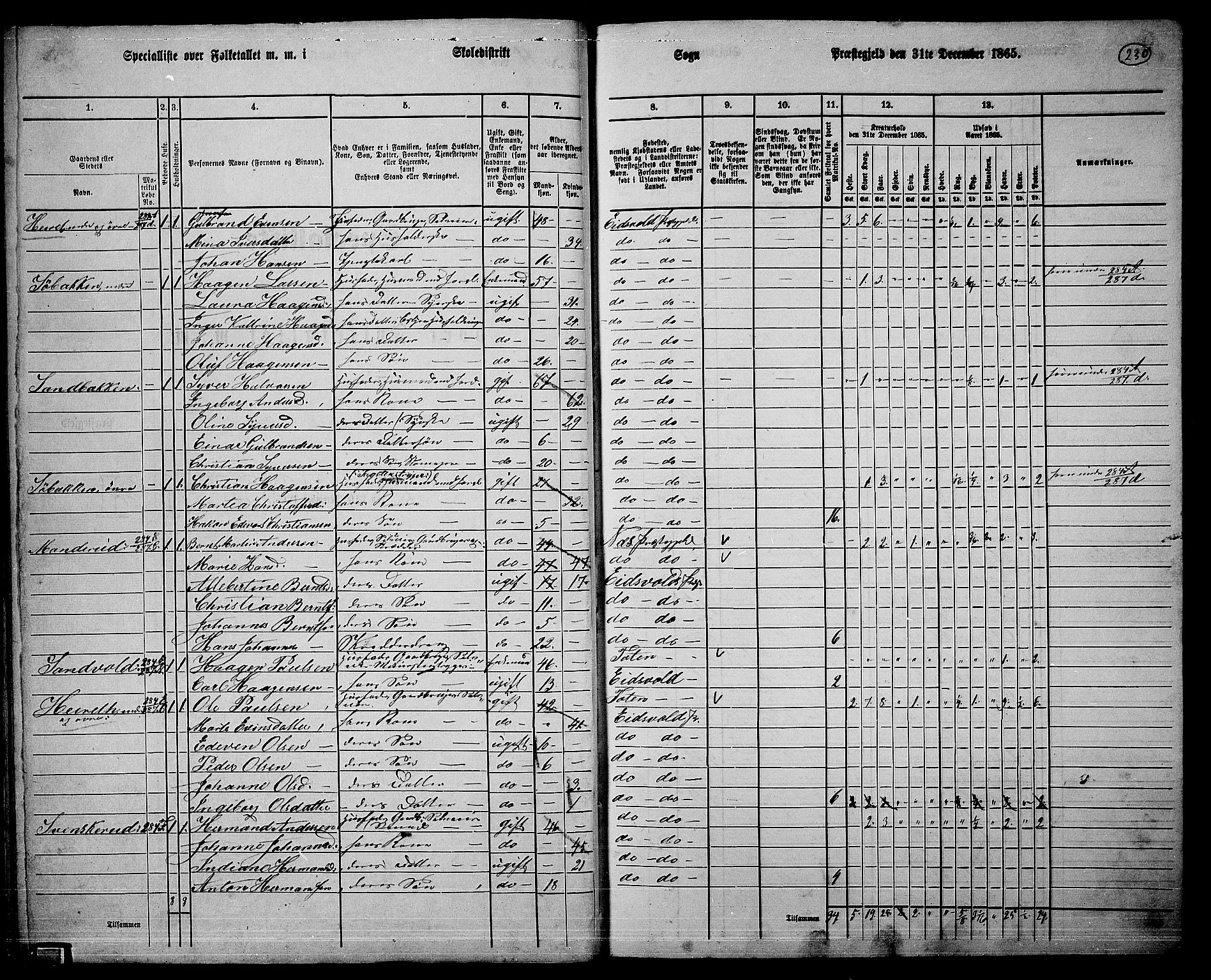 RA, 1865 census for Eidsvoll, 1865, p. 205