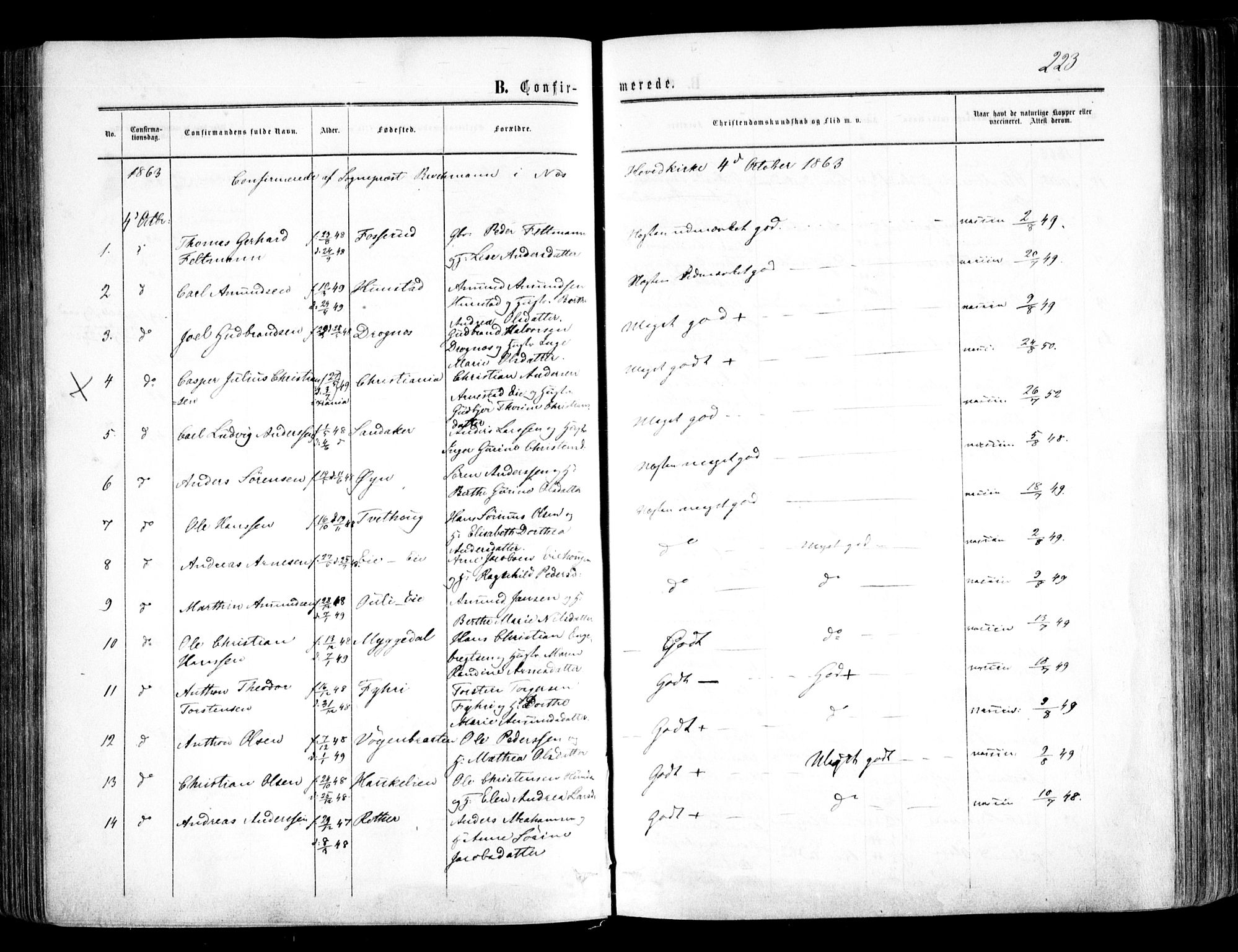 Nes prestekontor Kirkebøker, AV/SAO-A-10410/F/Fa/L0008: Parish register (official) no. I 8, 1859-1874, p. 223