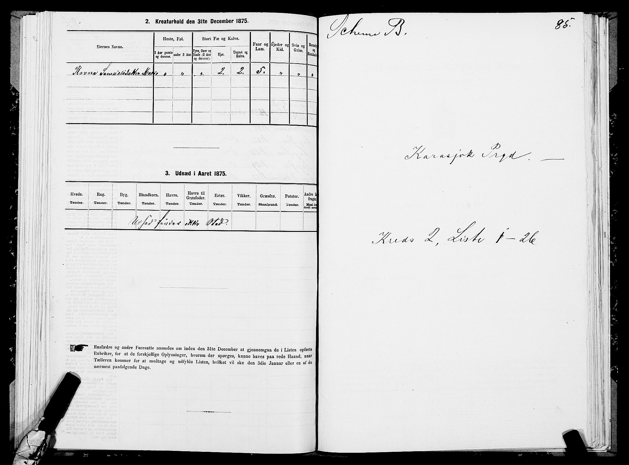 SATØ, 1875 census for 2021P Karasjok, 1875, p. 1085