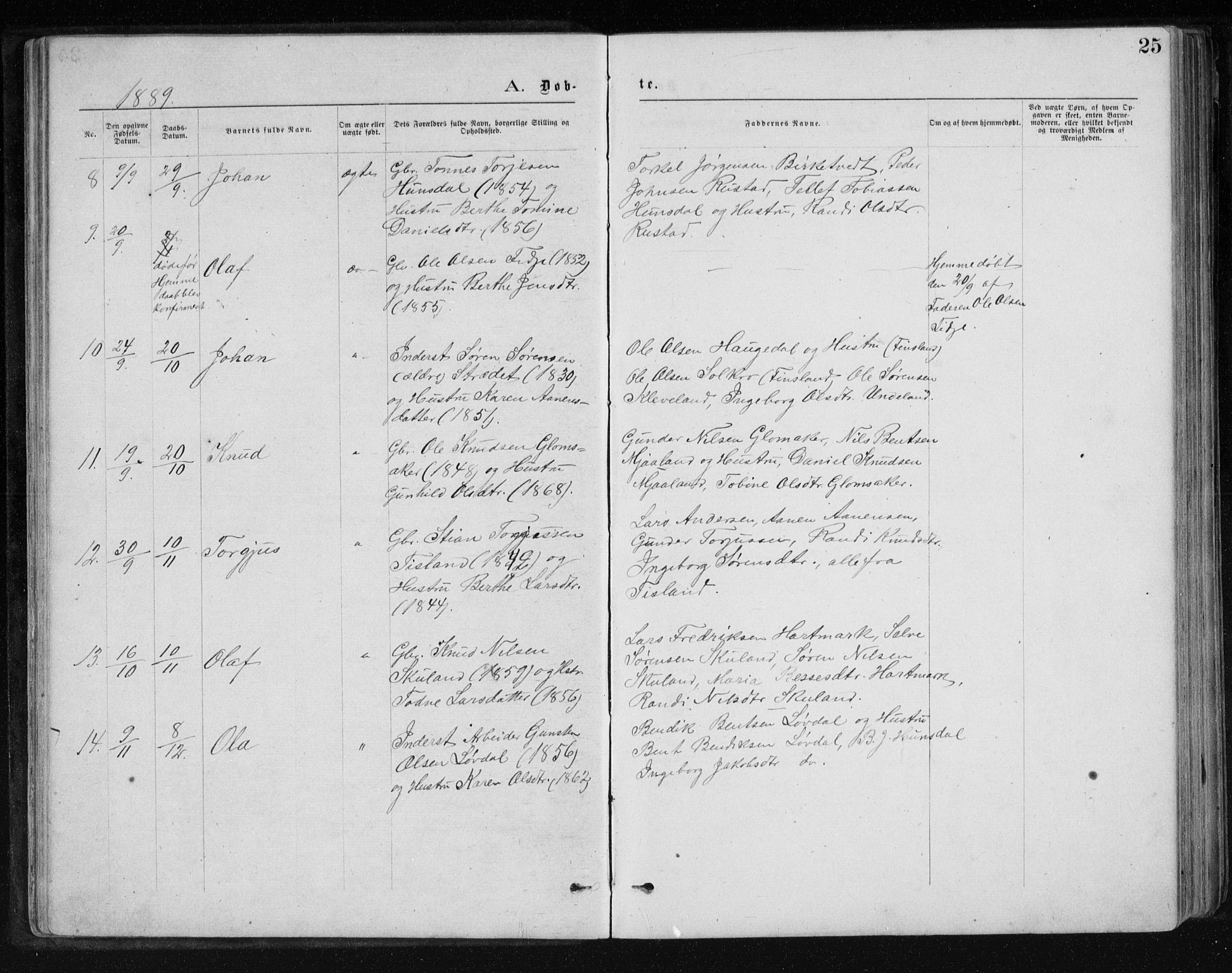 Holum sokneprestkontor, AV/SAK-1111-0022/F/Fb/Fbb/L0003: Parish register (copy) no. B 3, 1875-1898, p. 25