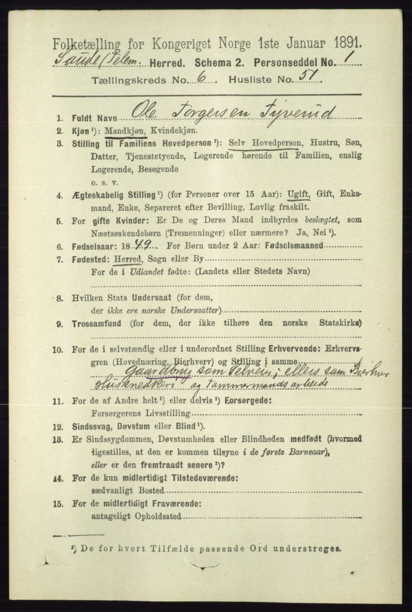 RA, 1891 census for 0822 Sauherad, 1891, p. 1969