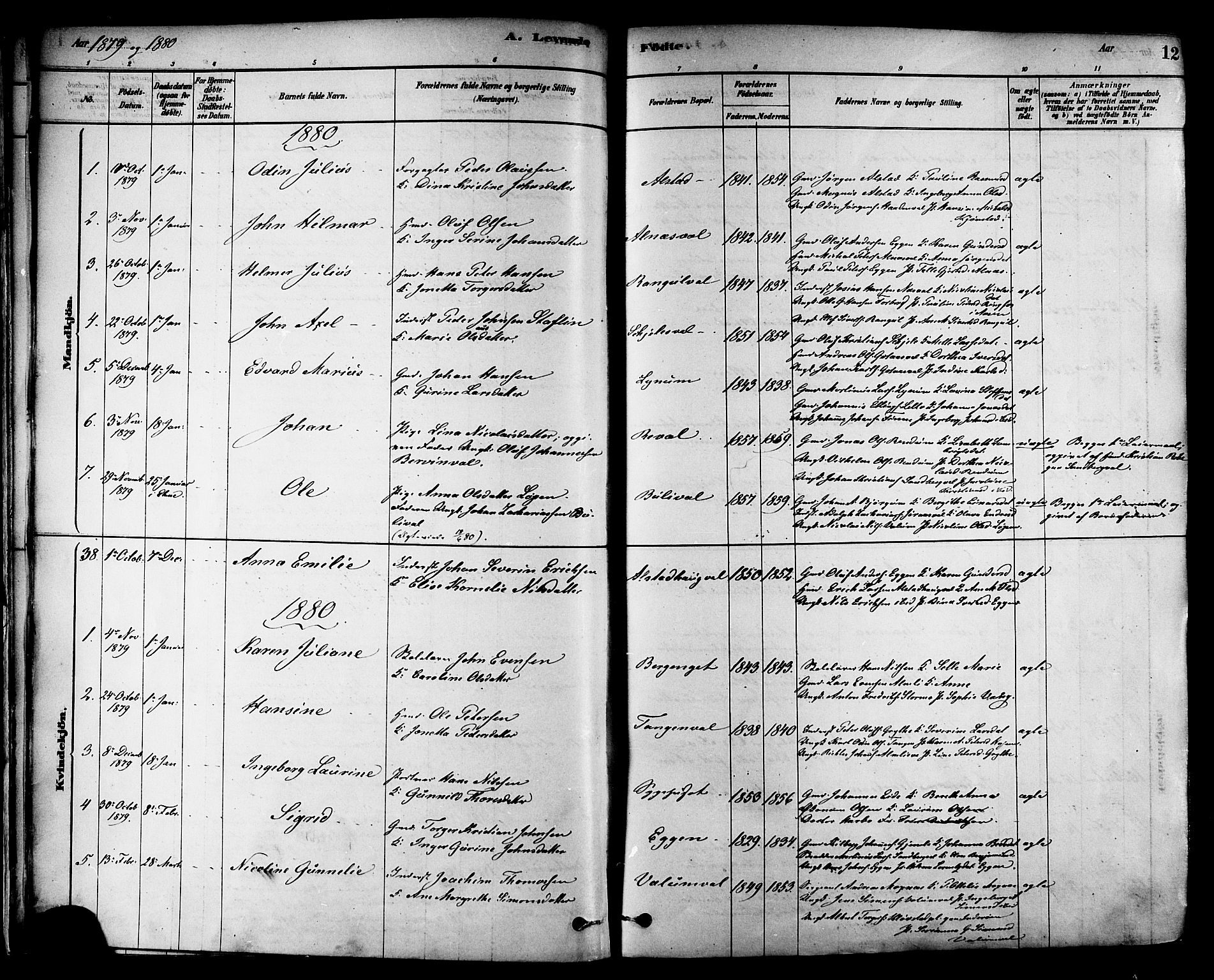 Ministerialprotokoller, klokkerbøker og fødselsregistre - Nord-Trøndelag, SAT/A-1458/717/L0159: Parish register (official) no. 717A09, 1878-1898, p. 12