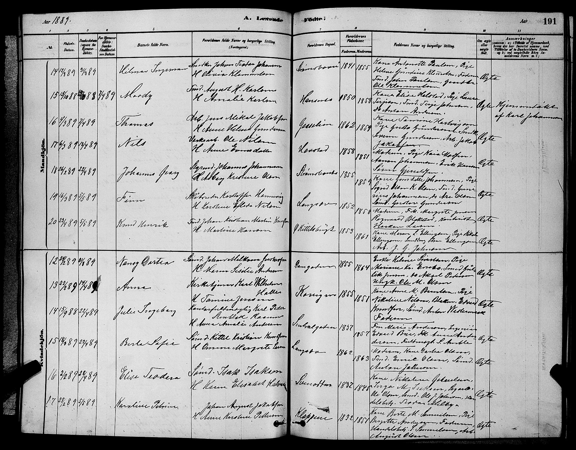 Barbu sokneprestkontor, AV/SAK-1111-0003/F/Fb/L0001: Parish register (copy) no. B 1, 1878-1890, p. 191