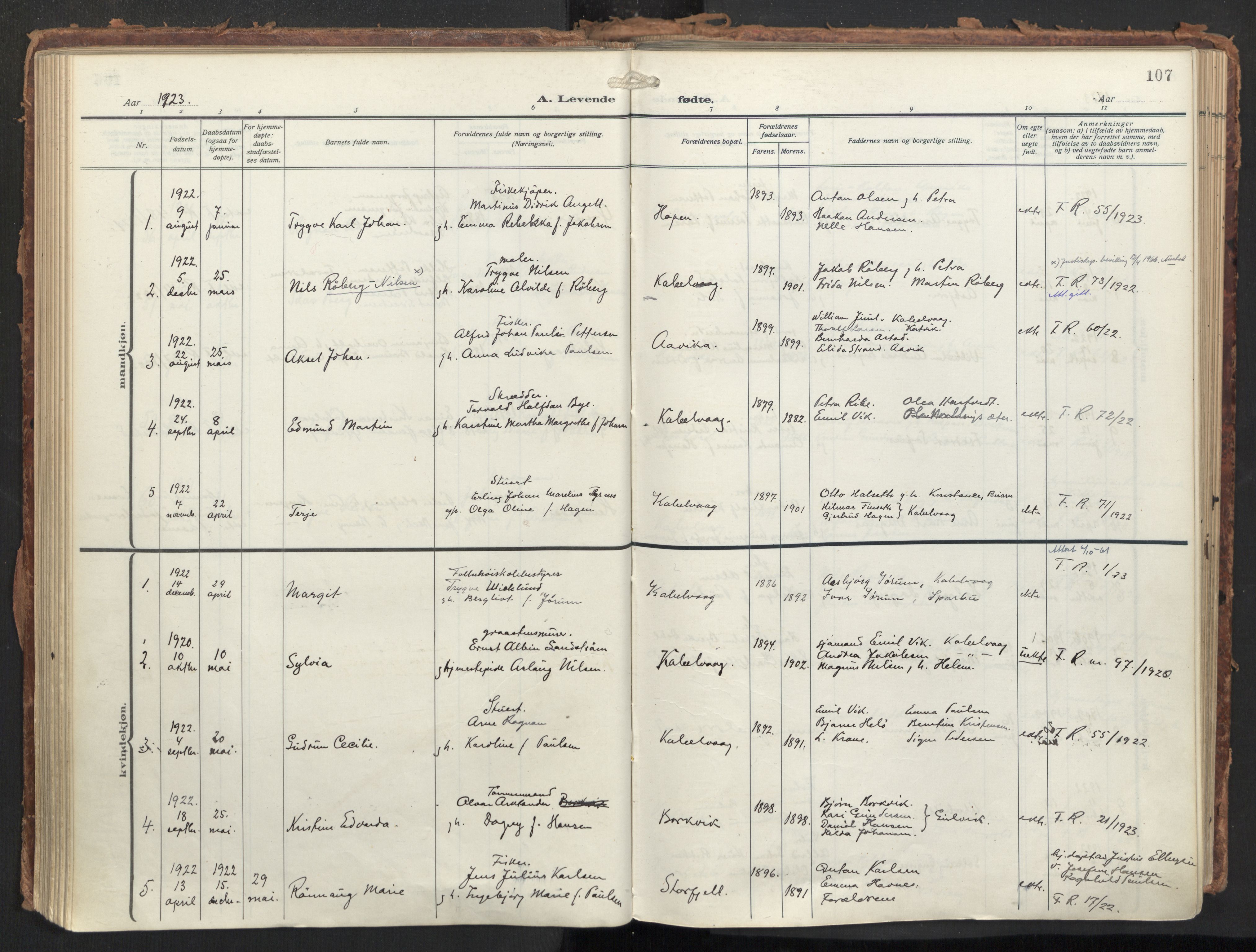 Ministerialprotokoller, klokkerbøker og fødselsregistre - Nordland, AV/SAT-A-1459/874/L1064: Parish register (official) no. 874A08, 1915-1926, p. 107