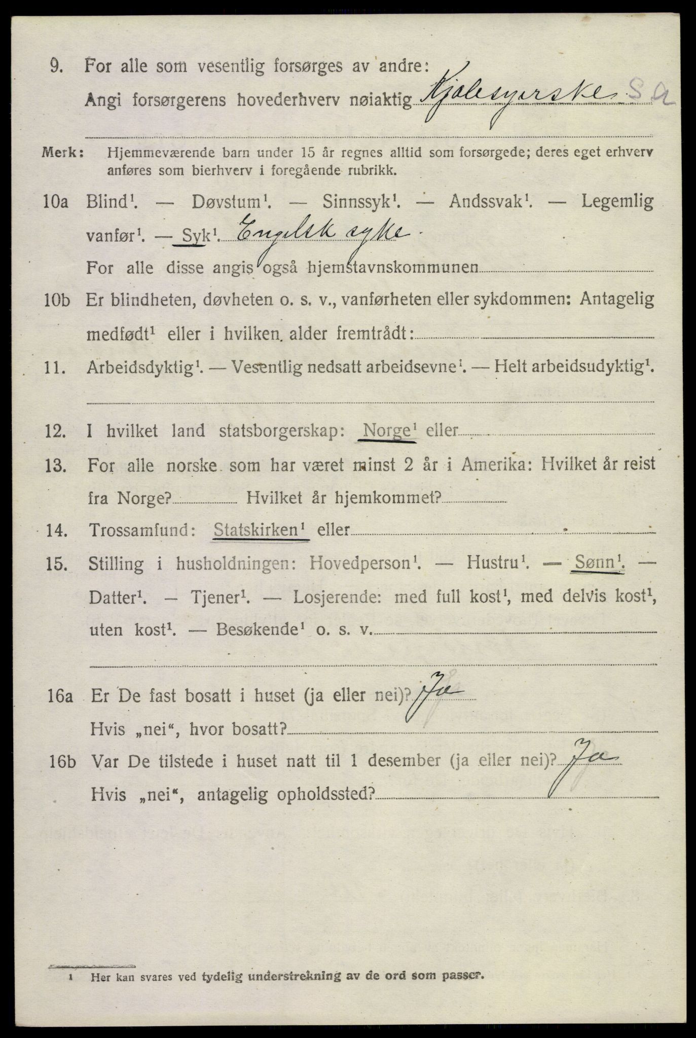 SAKO, 1920 census for Skåtøy, 1920, p. 2209