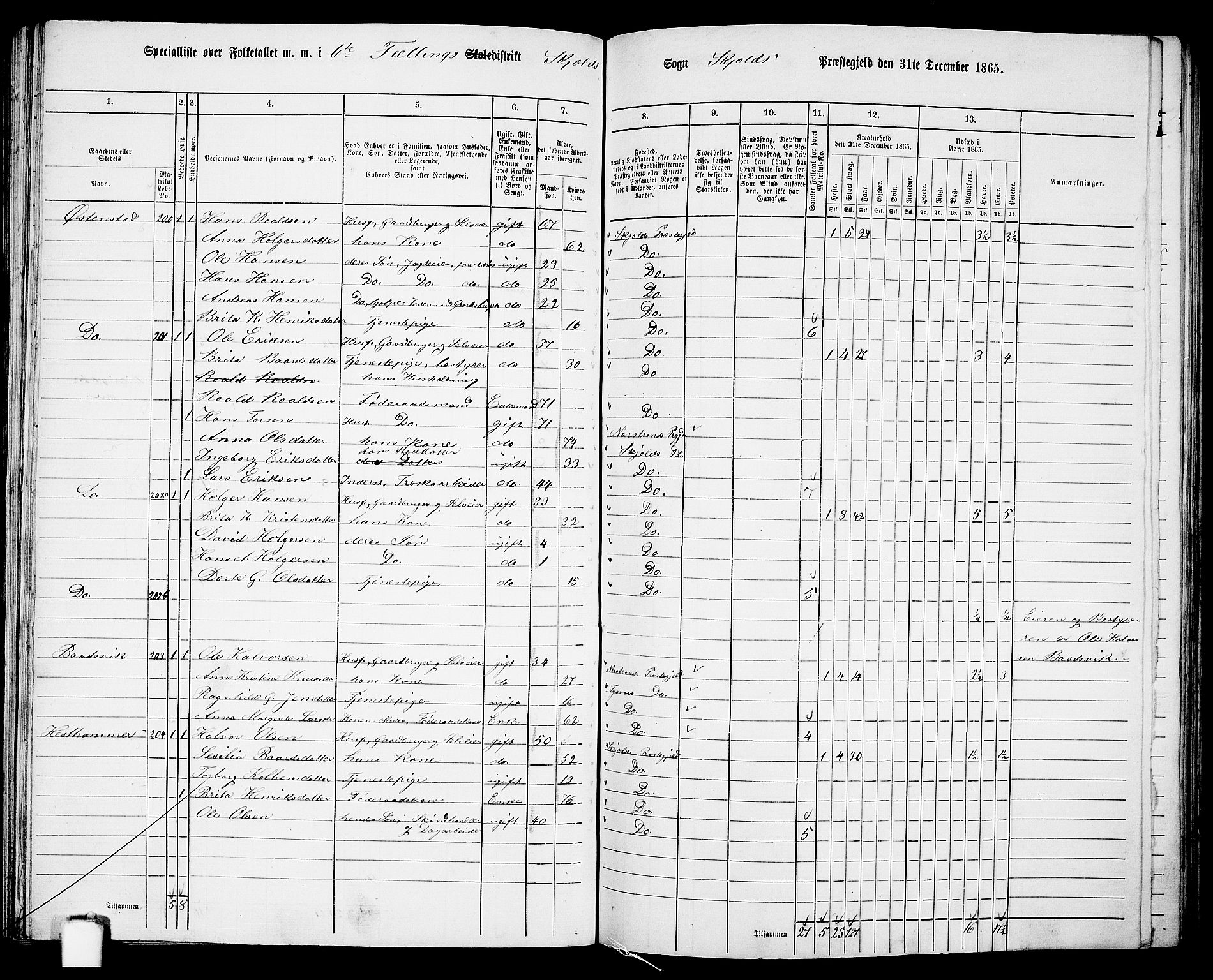 RA, 1865 census for Skjold, 1865, p. 93