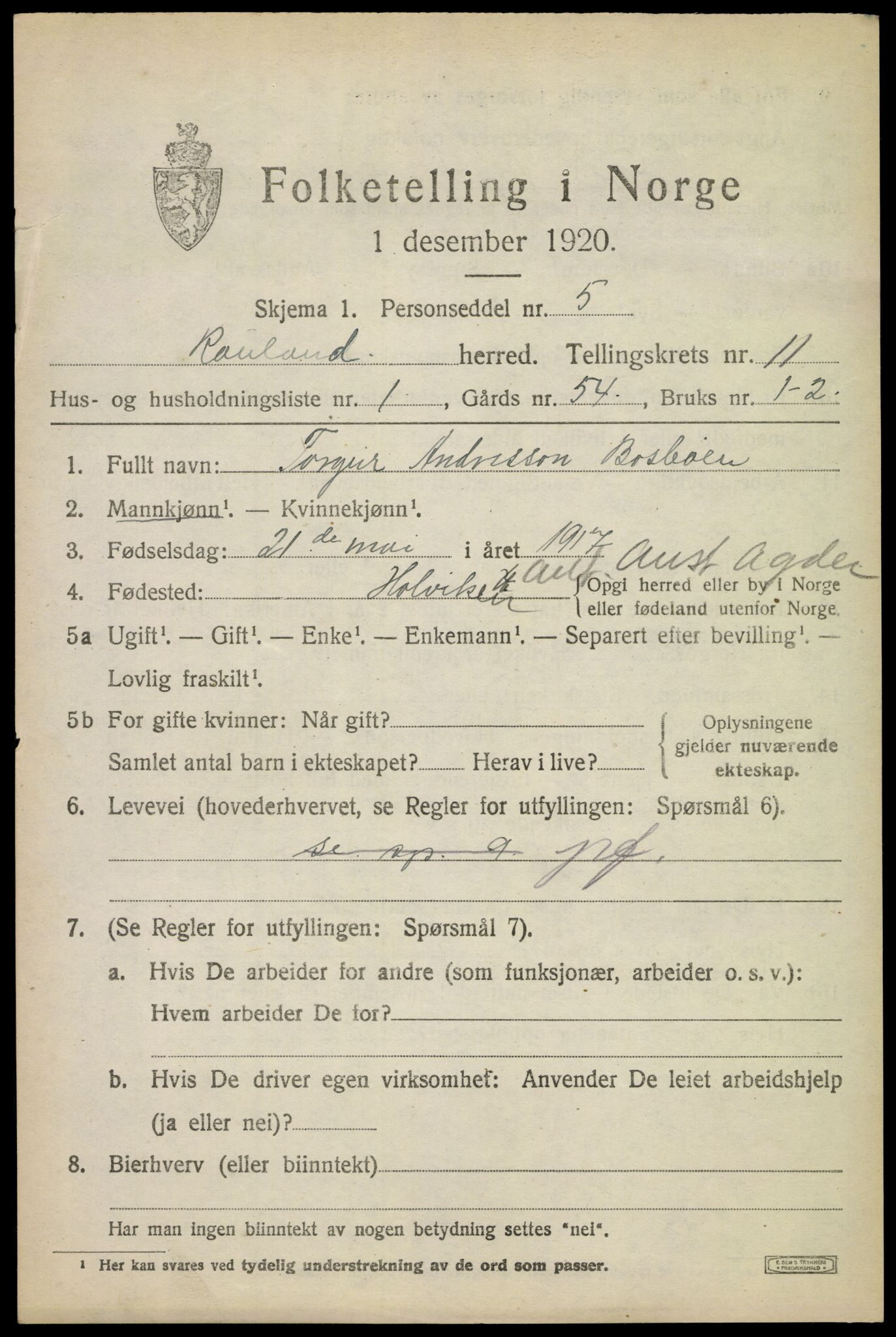 SAKO, 1920 census for Rauland, 1920, p. 2448