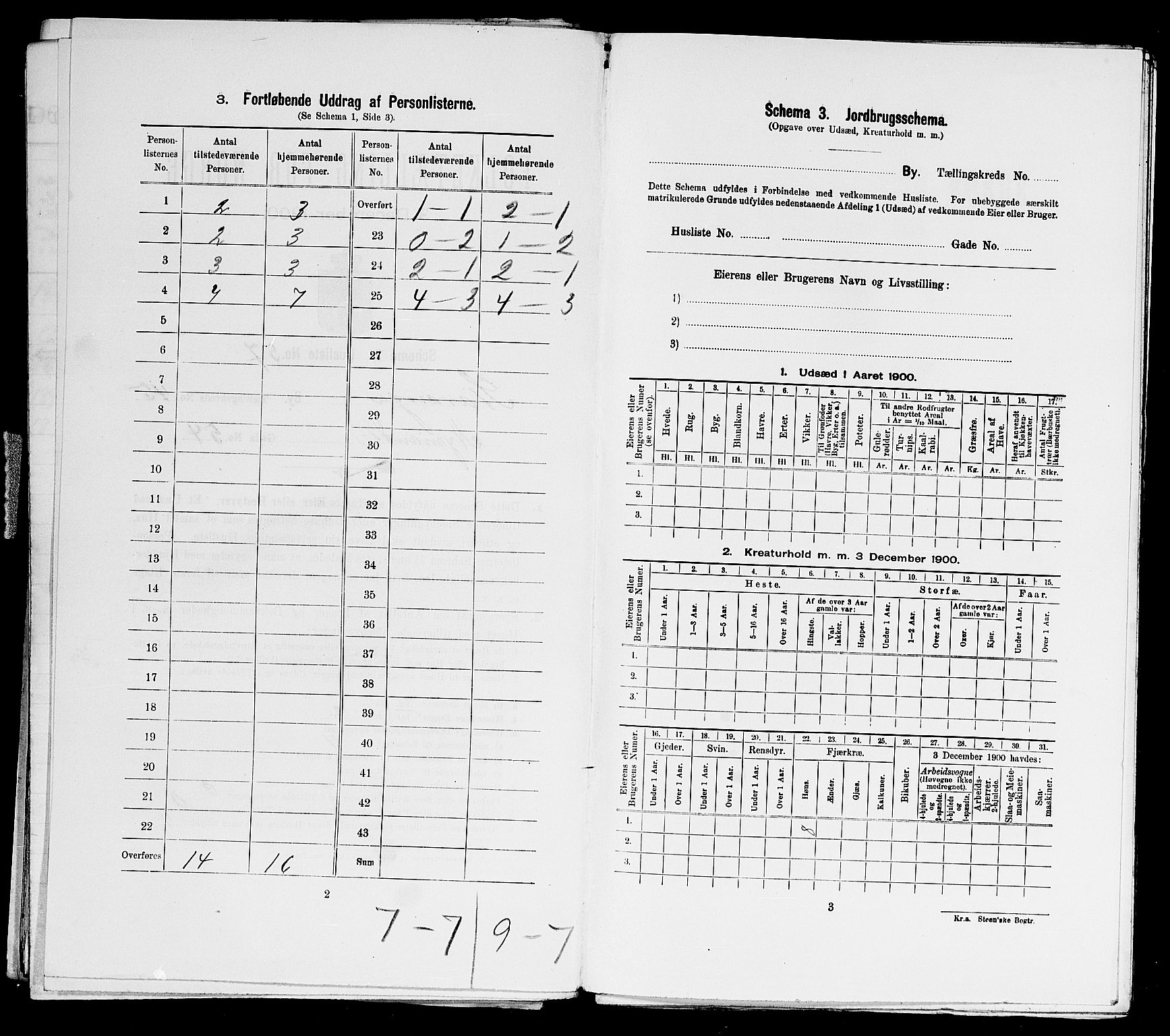 SAST, 1900 census for Stavanger, 1900, p. 19726