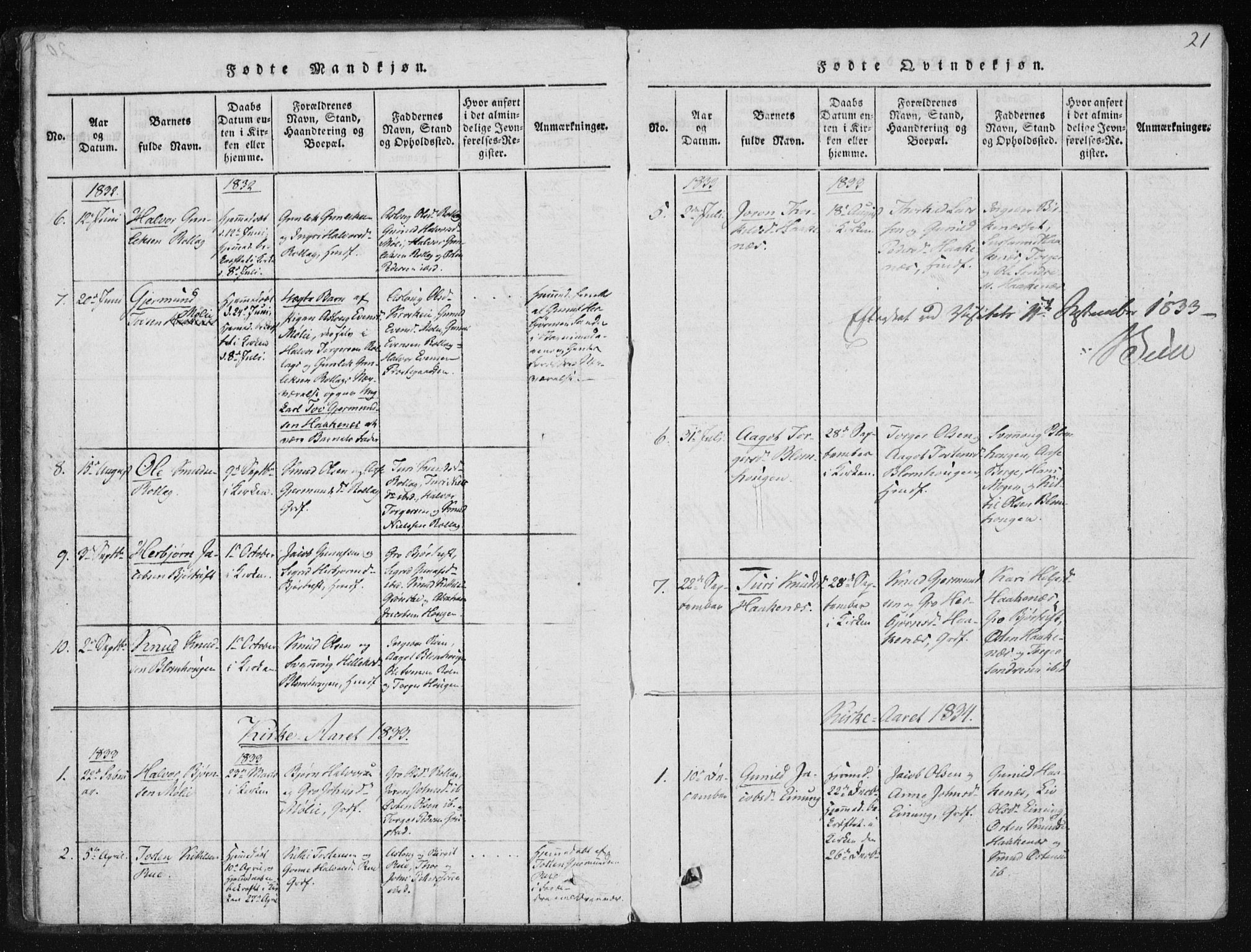 Tinn kirkebøker, SAKO/A-308/F/Fb/L0001: Parish register (official) no. II 1, 1815-1843, p. 21