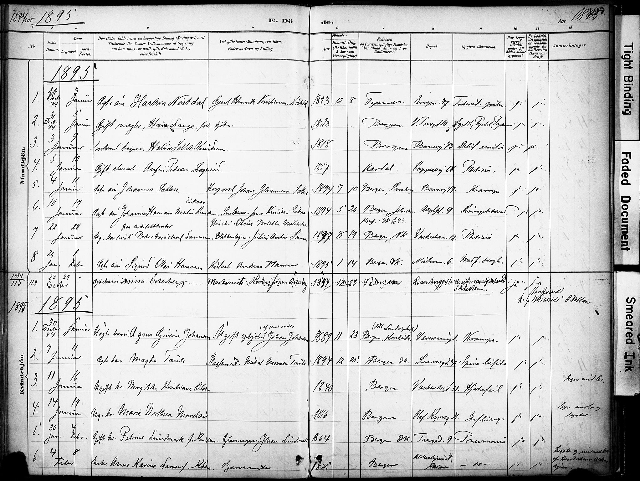 Domkirken sokneprestembete, AV/SAB-A-74801/H/Haa/L0043: Parish register (official) no. E 5, 1882-1904, p. 197